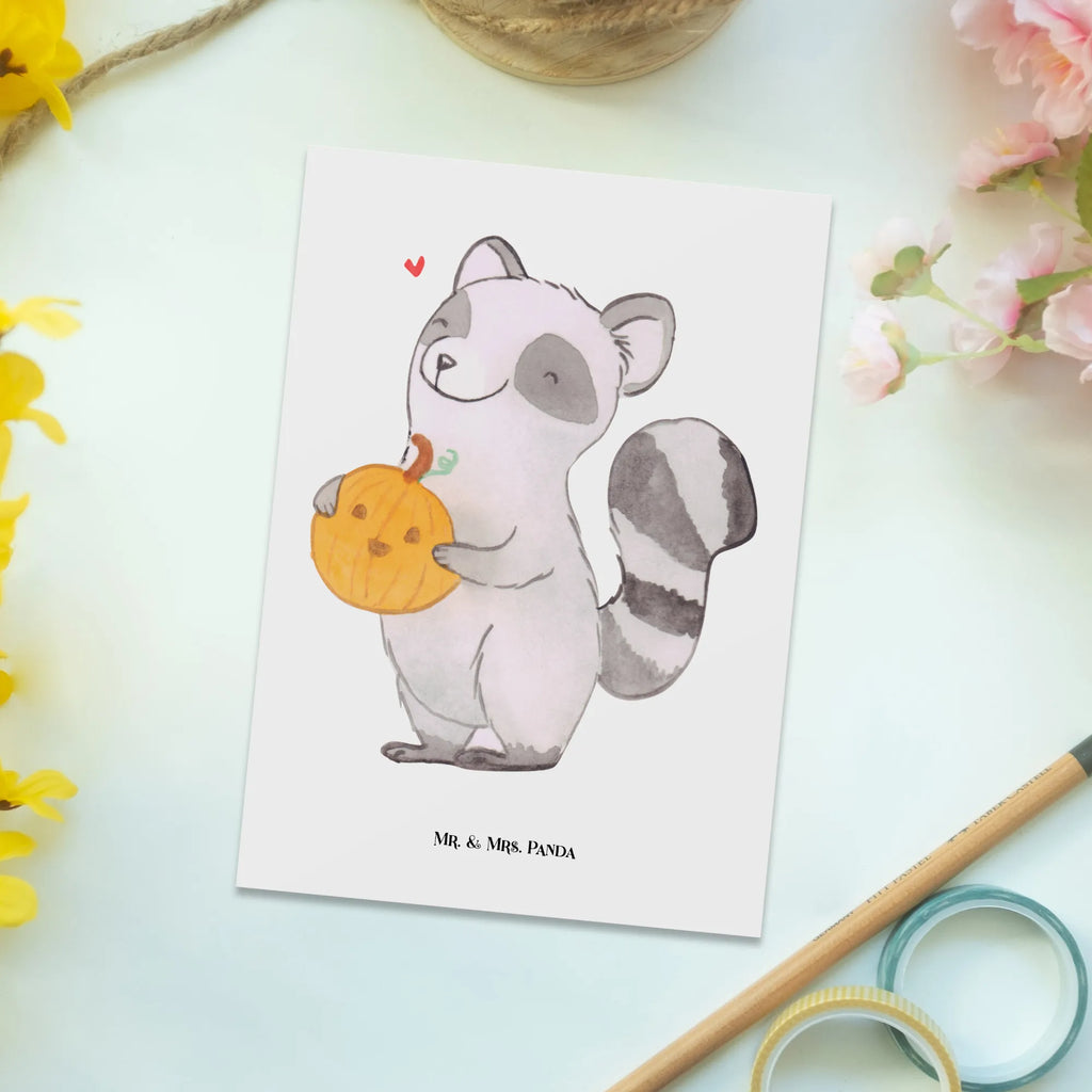 Postcard Raccoon Pumpkin Postcard, invitation card, paper, card, postcards, gift, invitation, letter, gift card, Halloween, decoration, Martin singing, decor, gifts, giving