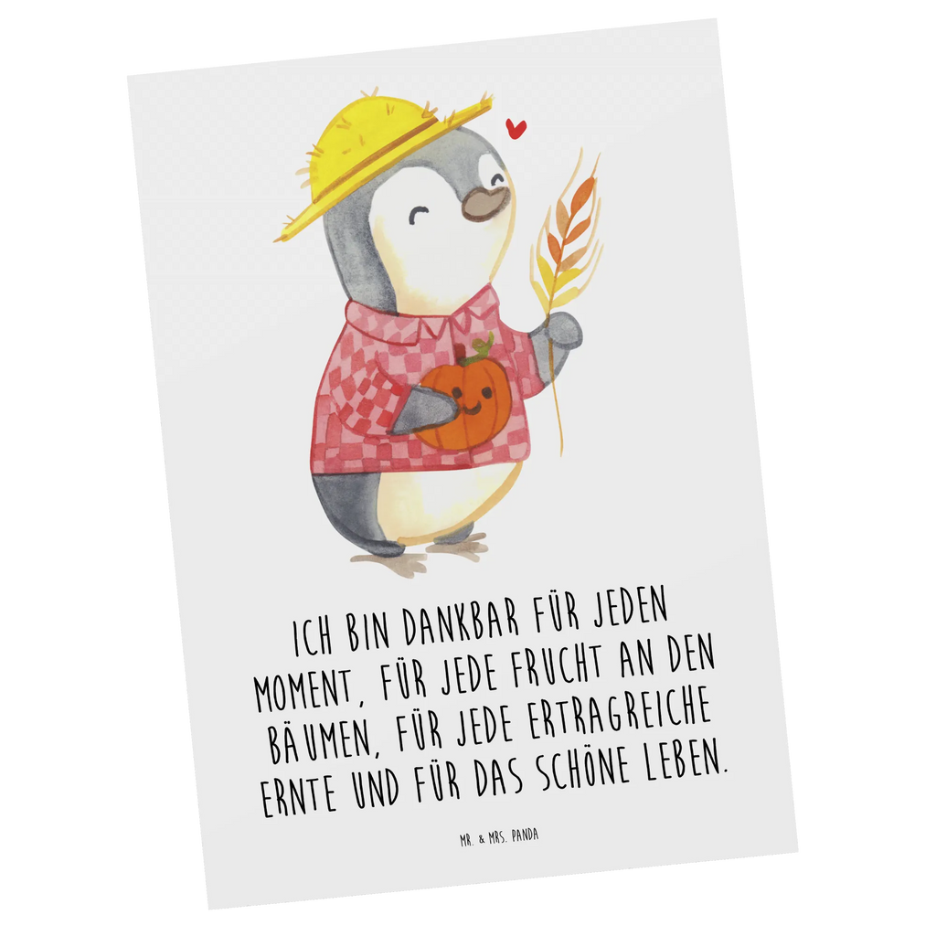 Postkarte Erntedankfest Pinguin Einladung Geburtstag, Ansichtskarten, Ansichtskarte, Dankeskarte, Einladungskarte, Geburtstagskarte, Karte, Postkarte, Grußkarte, Einladung, Geschenkkarte, Einladungskarten Geburtstag, Erntedank, Erntedankfest, Erntedank Kindergarten, Erntedankspruch, Erntedank Sprüche, Erntedankfest deko, Erntedank Deko, Erntedank mit Kindern, Thanksgiving, Dankbarkeits Spruch, Kürbis, Herbst Motiv