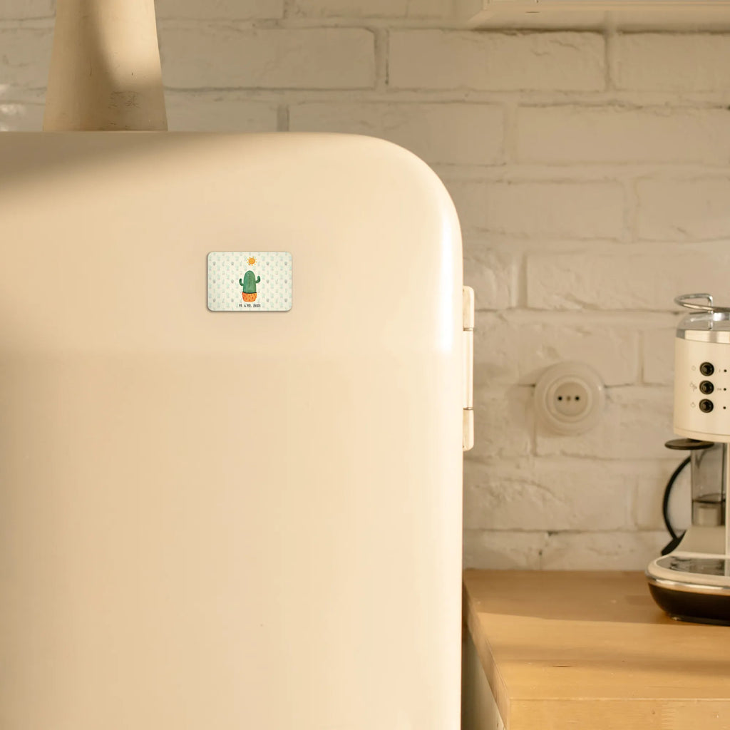 Magnet cactus Sun office magnet, magnet, calendar magnet, magnetic board, refrigerator magnet, refrigerator magnets, cactus, cactuses, plants, cactus plant, small green cactus, motivation, gift idea, happiness, separation, divorce, girlfriend, love cactus love, sun, happy, adultery, lovesickness gift, new start, lovesickness, sunshine