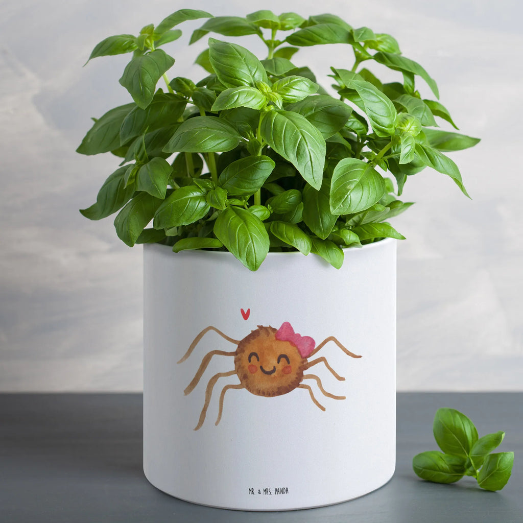 XL flower pot Spider Agathe Joy Spider Agathe, Spider, Agathe, Videos, Merchandise