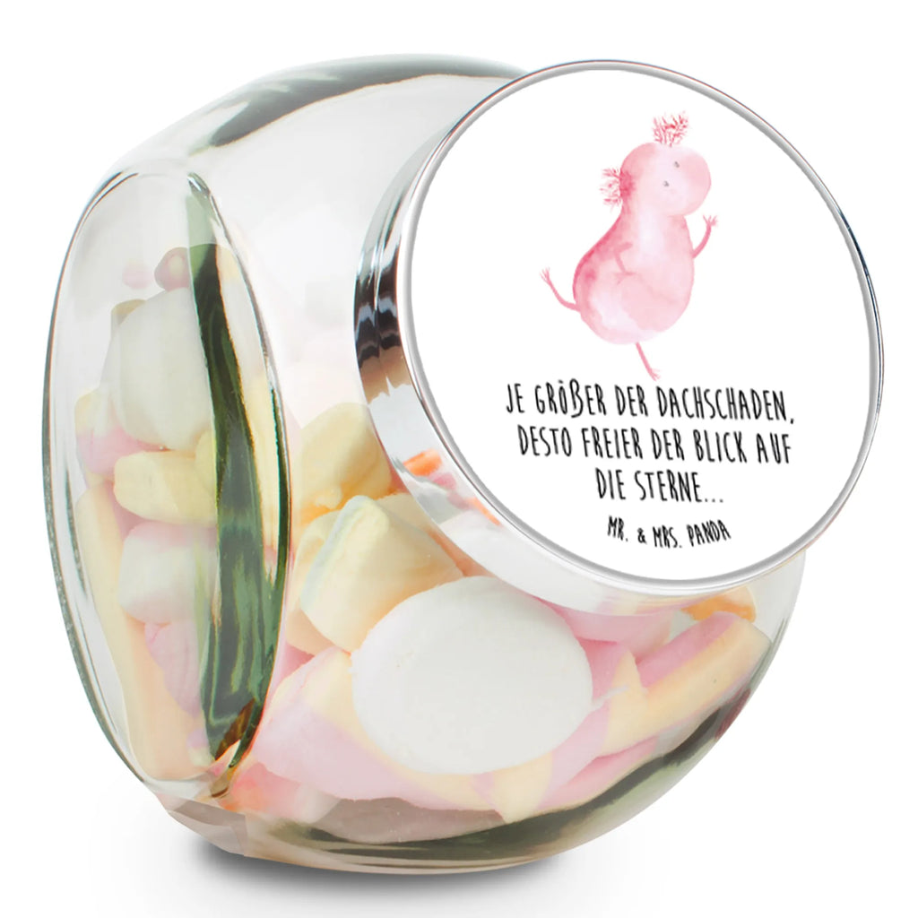 Candy Jar axolotl Dance Axolotl, Axelotl, marine animals, Mexican walking fish, salamander, axolot, stars, crazy, roof damage, girlfriend, amphibians, tailfish, best friend