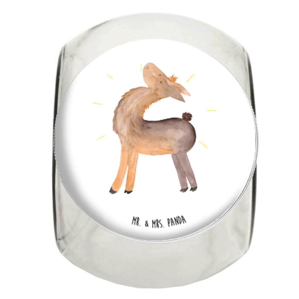 Candy Jar lama Proud Llama, llama, alpaca, trendy animal, New start, Girlfriend, Llamas, Family, Outsider, Different, Proud, Girlfriends, Hippie, Best friend, Buddy, Lama