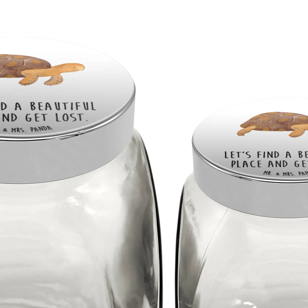 Candy Jar tortoise March Seafood, aquatic animals, ocean, sea, fish, shells, corals, reef, whale, narwhal, sea urchin, lobster, platypus, turtle, manatee, crocodile, orca, shrimp, gifts for seafood lovers, water world, underwater animals, underwater world, vacation, deep sea, seafood fans, gift ideas, seafood decoration, seafood posters, turtles, inspiration, new start, motivation, adventure, wanderlust, get lost, favourite person