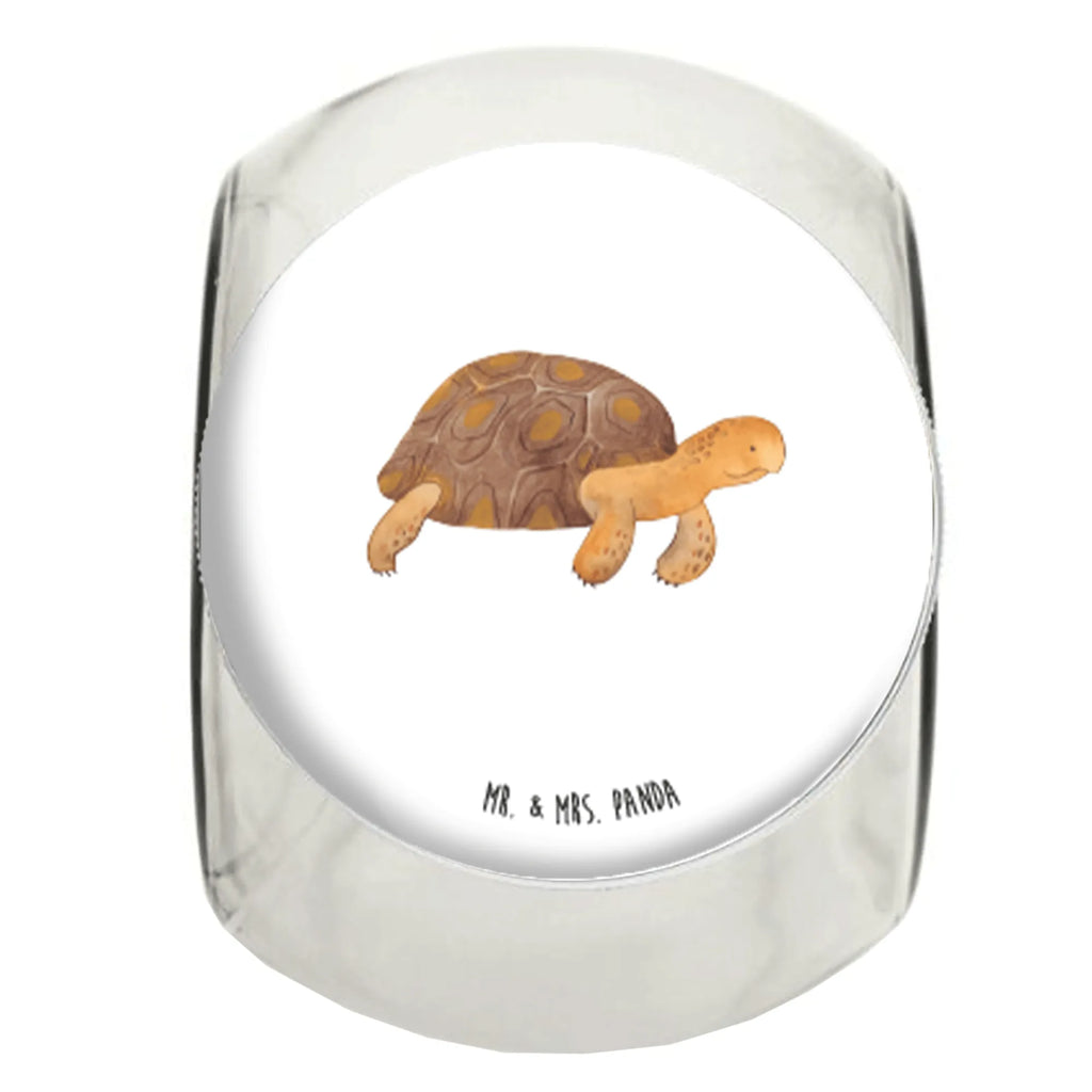 Candy Jar tortoise March Seafood, aquatic animals, ocean, sea, fish, shells, corals, reef, whale, narwhal, sea urchin, lobster, platypus, turtle, manatee, crocodile, orca, shrimp, gifts for seafood lovers, water world, underwater animals, underwater world, vacation, deep sea, seafood fans, gift ideas, seafood decoration, seafood posters, turtles, inspiration, new start, motivation, adventure, wanderlust, get lost, favourite person