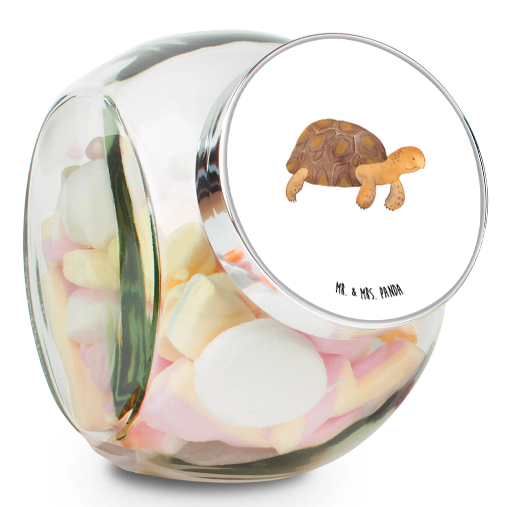 Candy Jar tortoise March Seafood, aquatic animals, ocean, sea, fish, shells, corals, reef, whale, narwhal, sea urchin, lobster, platypus, turtle, manatee, crocodile, orca, shrimp, gifts for seafood lovers, water world, underwater animals, underwater world, vacation, deep sea, seafood fans, gift ideas, seafood decoration, seafood posters, turtles, inspiration, new start, motivation, adventure, wanderlust, get lost, favourite person