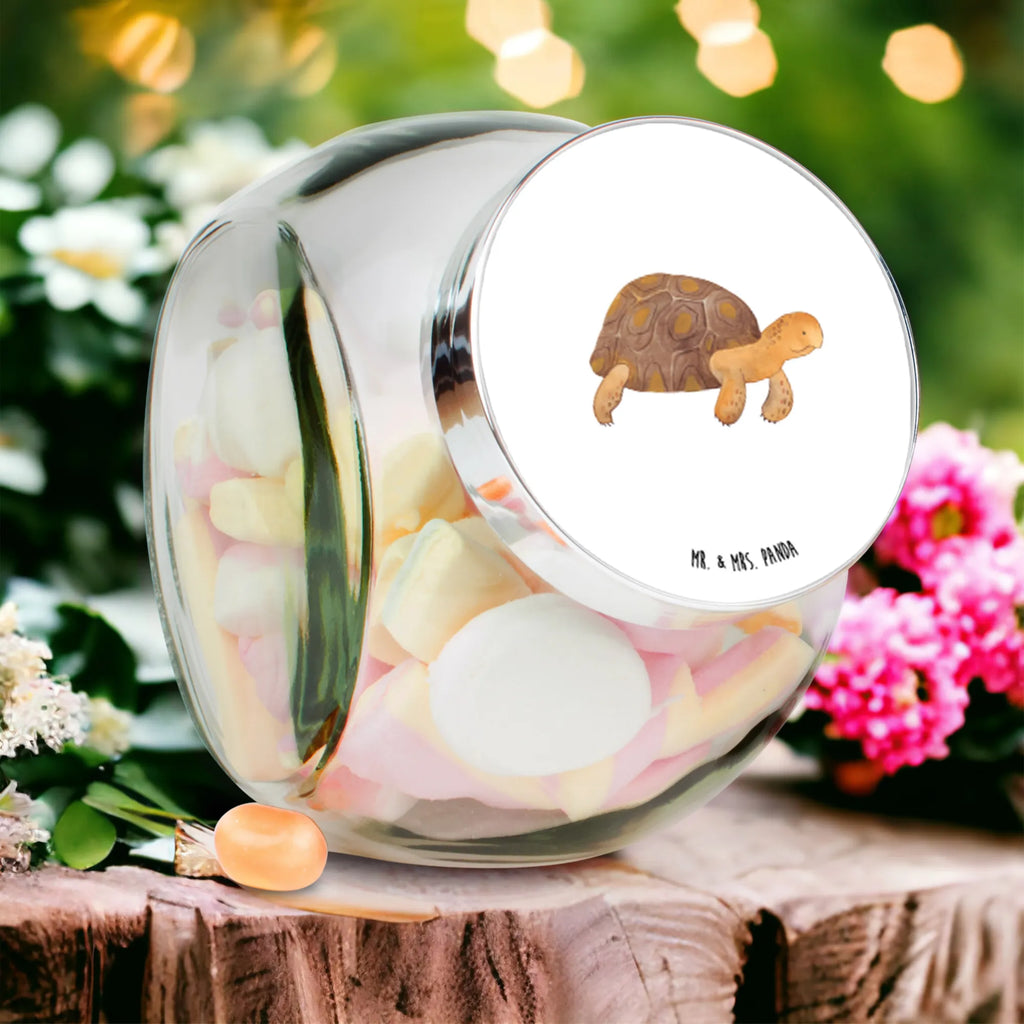 Candy Jar tortoise March Seafood, aquatic animals, ocean, sea, fish, shells, corals, reef, whale, narwhal, sea urchin, lobster, platypus, turtle, manatee, crocodile, orca, shrimp, gifts for seafood lovers, water world, underwater animals, underwater world, vacation, deep sea, seafood fans, gift ideas, seafood decoration, seafood posters, turtles, inspiration, new start, motivation, adventure, wanderlust, get lost, favourite person