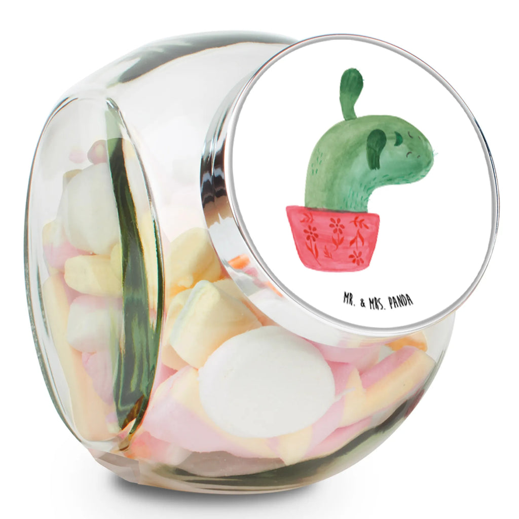 Candy Jar cactus mummy cactus, cactuses, plants, cactus plant, small green cactus, school, annoyance, office, office life, cactus love, motivation, cacti, quota