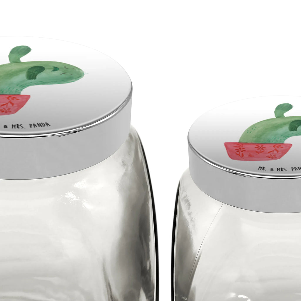 Candy Jar cactus mummy cactus, cactuses, plants, cactus plant, small green cactus, school, annoyance, office, office life, cactus love, motivation, cacti, quota