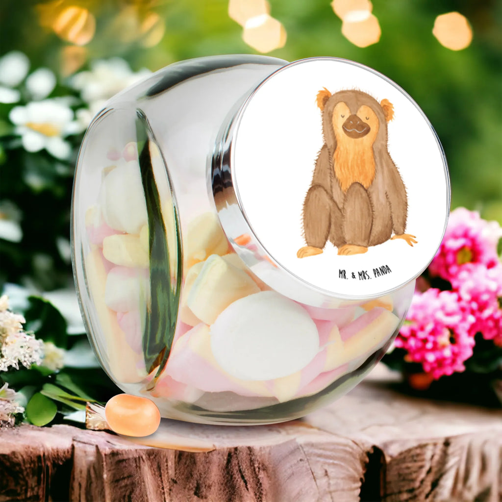 Candy Jar Monkey Africa, motivation, selfcare, self-love, respect, monkey, love, monkeys, self-esteem, self-confidence