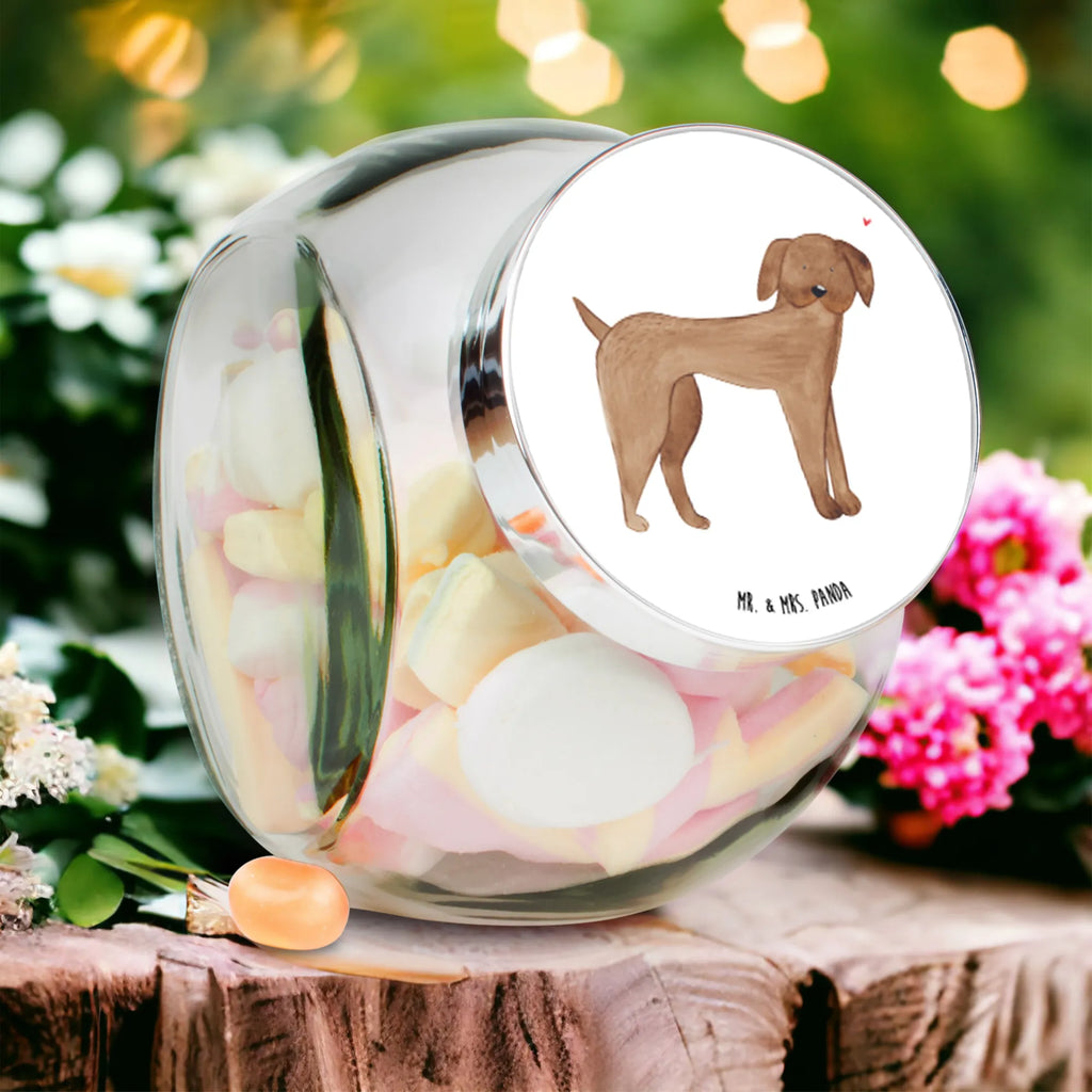 Candy Jar Dog mastiff gewürzglas, Naschdose, aufbewahrungsbehälter, schraubglas, lebensmittelbehälter glas, glas für kaffee, Vorratsglas, Glas Für Bonbons, glas für süßigkeiten, keksglas, glas mit verschluss, aufbewahrungsglas, glas für tee, Candyglas, Bonbonbehälter, Bonbonglas, Bonboniere, vorratsgläser, aufbewahrungsgläser, mehrzweckglas, glasbehälter, müsliglas, Süßigkeitenglas, keksdose glas, Naschglas, glasdosen, bonbongläser, Vorratsdose, Vorratsdose Glas, glas für müsli, Vorratsbehälter, glas für gewürze, Glasdose, glas mit deckel, süßigkeitengläser, Hunderasse, Sprüche, Hundebesitzer, Hund, Hundemotiv, Haustier, Tierliebhaber, Hunde, Deutsche Dogge, Dogge, Great Dane