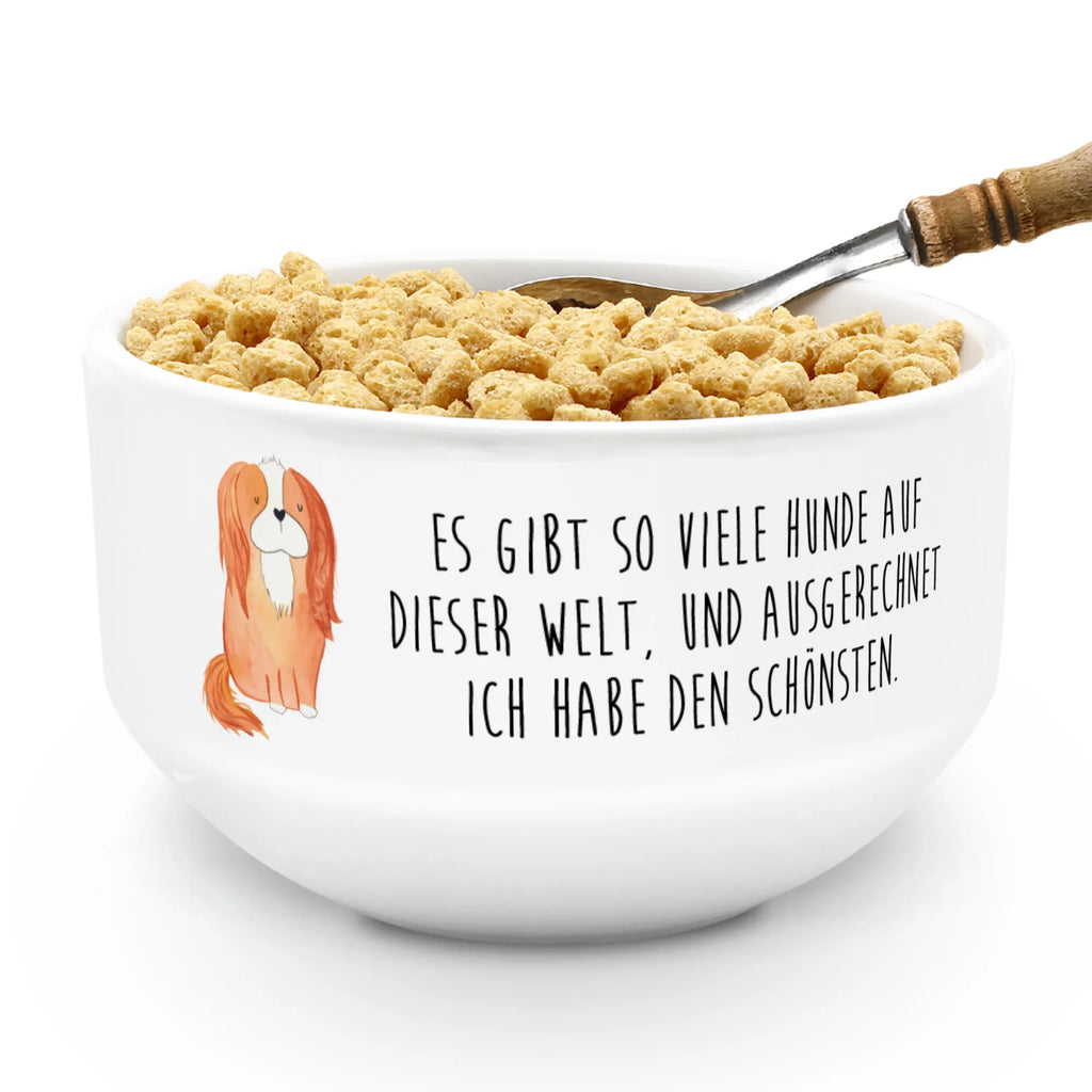 Muesli Bowl Dog Cavalier King Charles Spaniel fruit bowl, soup bowl, snack bowl, cereal bowl, breakfast bowl, cereal dish, bowl, ceramic bowl, salad bowl, porcelain bowl, dessert bowl, dog, mutt, hound, woof, dog mama, dog breed, love dogs, love for dogs, dog decorative items, bag with dog print, funny gifts for dog owners, what do you give a dog lover, Christmas gifts for dogs, gifts for dogs, dog sayings, Sayings, Cavalier King Charles Spaniel, Dog, Cocker Spaniel, most beautiful dog, Spaniel