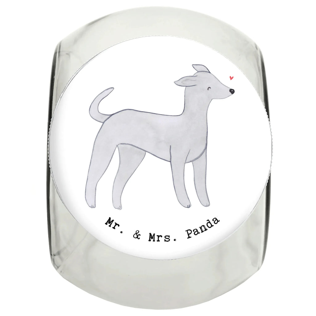 Słoik Leckerli Włoskie dzwonki wiatru ratownik życia Leckerli Glas Hund, Hundeleckerlies Behälter, Leckerli Glas, Leckerli Dose, Leckerli Glas Katze, Welpe, Hunderasse, Hundebesitzer, Schenken, Geschenk, Rassehund, Tierfreund, Hund, Italienisches Windspiel, Italian Greyhound, Windhund