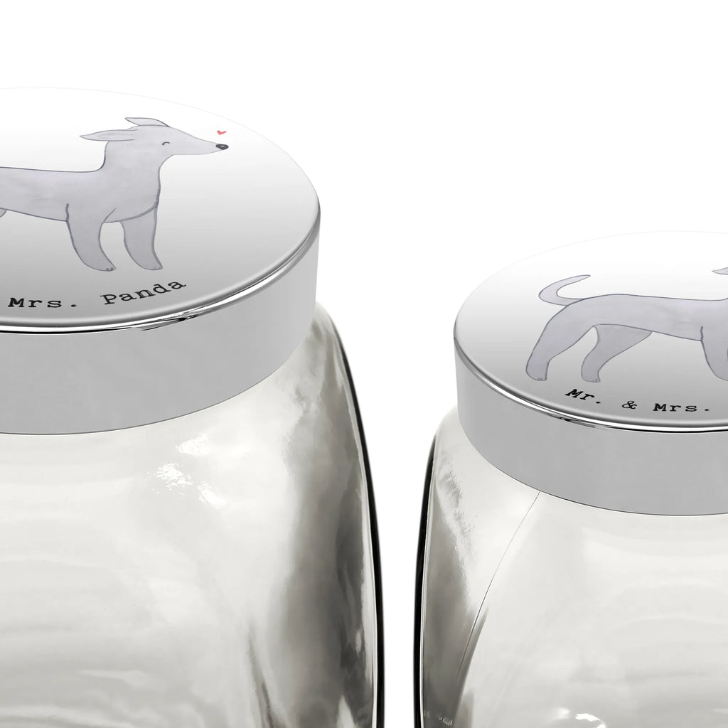 Słoik Leckerli Włoskie dzwonki wiatru ratownik życia Leckerli Glas Hund, Hundeleckerlies Behälter, Leckerli Glas, Leckerli Dose, Leckerli Glas Katze, Welpe, Hunderasse, Hundebesitzer, Schenken, Geschenk, Rassehund, Tierfreund, Hund, Italienisches Windspiel, Italian Greyhound, Windhund