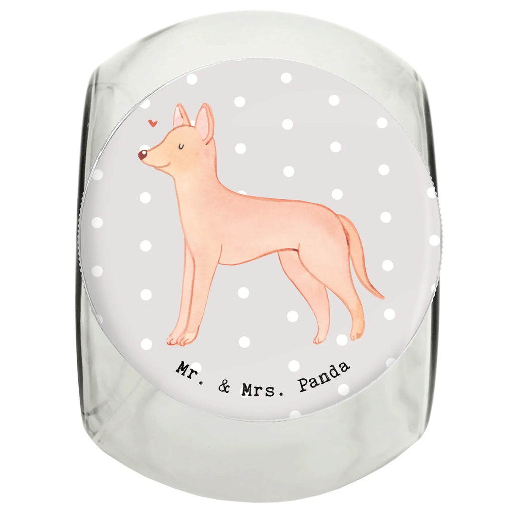 Leckerli Glas Pharaonenhund Lebensretter Leckerli Dose, Leckerli Glas, Leckerli Glas Hund, Leckerli Glas Katze, Hundeleckerlies Behälter, Hunderasse, Hund, Hundebesitzer, Rassehund, Tierfreund, Geschenk, Welpe, Schenken, Pharaonenhund, Pharaoh Hound, Kelb Tal-Fenek