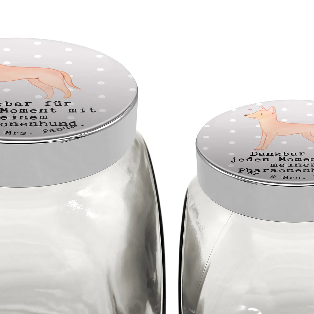 Leckerli Glas Pharaonenhund Moment Leckerli Dose, Leckerli Glas, Leckerli Glas Hund, Hundeleckerlies Behälter, Leckerli Glas Katze, Hunderasse, Hund, Hundebesitzer, Rassehund, Tierfreund, Geschenk, Welpe, Schenken, Pharaonenhund, Kelb Tal-Fenek, Pharaoh Hound