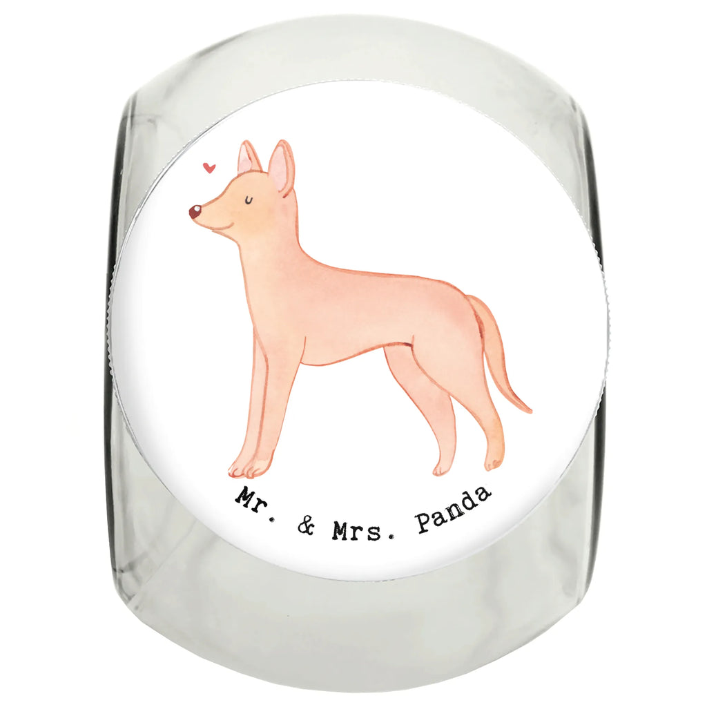 Leckerli Glas Pharaonenhund Moment Leckerli Dose, Leckerli Glas, Leckerli Glas Hund, Hundeleckerlies Behälter, Leckerli Glas Katze, Hunderasse, Hund, Hundebesitzer, Rassehund, Tierfreund, Geschenk, Welpe, Schenken, Pharaonenhund, Kelb Tal-Fenek, Pharaoh Hound