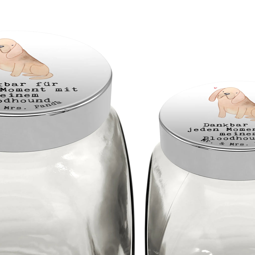 Leckerli Glas Bloodhound Moment Leckerli Dose, Leckerli Glas, Hundeleckerlies Behälter, Leckerli Glas Hund, Leckerli Glas Katze, Hund, Hunderasse, Rassehund, Hundebesitzer, Geschenk, Tierfreund, Schenken, Welpe, Bluthund, Chien de Saint Hubert, Bloodhound, St. Hubertushund