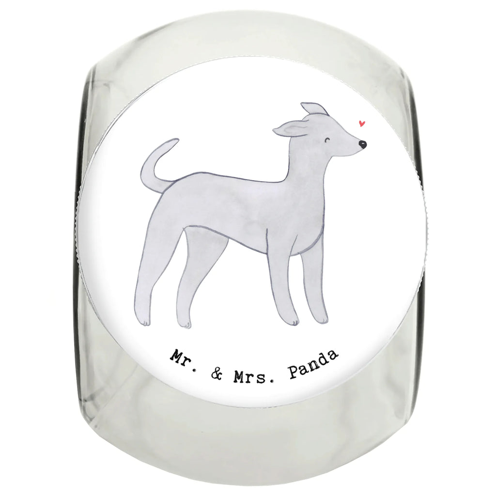 Treat Jar Italian Greyhound Moment Leckerli Glas Katze, Leckerli Glas, Leckerli Dose, Hundeleckerlies Behälter, Leckerli Glas Hund, Hund, Hunderasse, Rassehund, Hundebesitzer, Geschenk, Tierfreund, Schenken, Welpe, Italian Greyhound, Italienisches Windspiel, Windhund