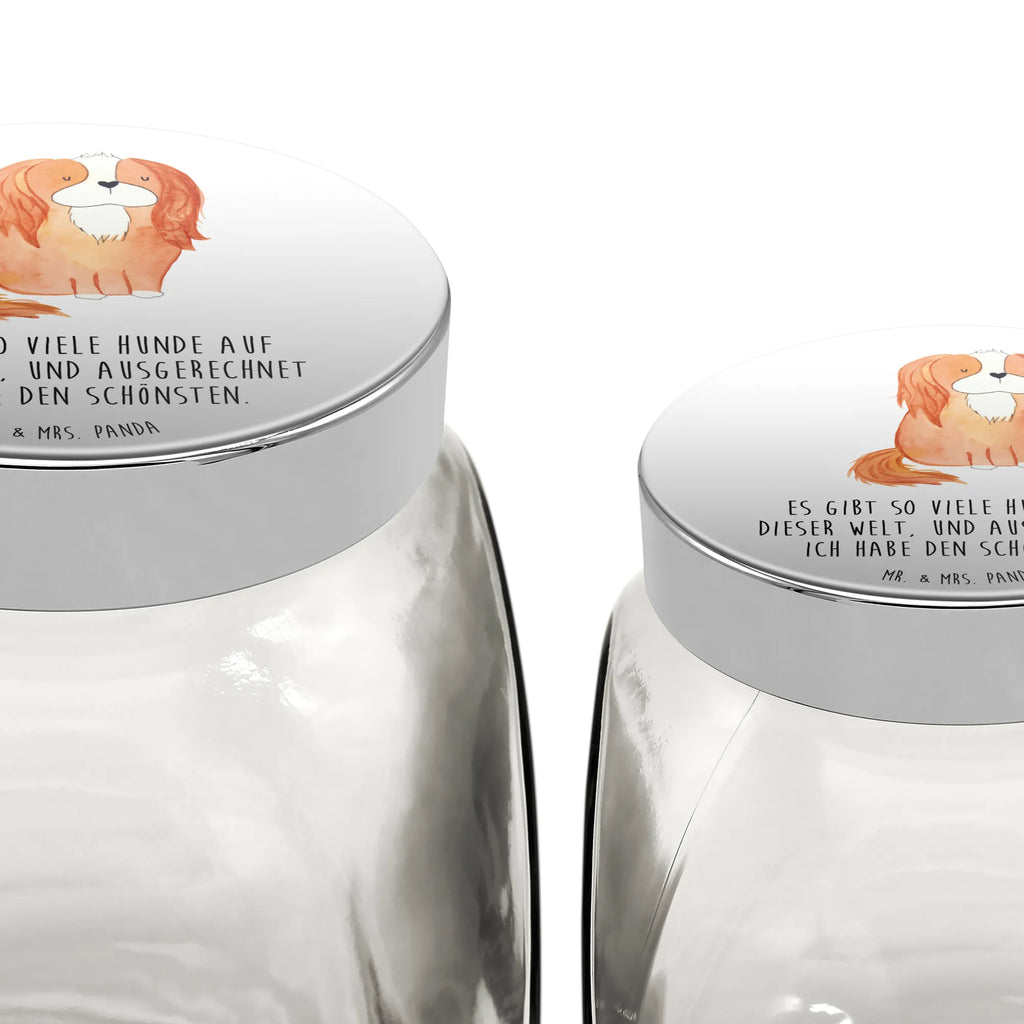 Leckerli Glas Hund Cavalier King Charles Spaniel Leckerli Glas, Leckerli Glas Katze, Leckerli Dose, Leckerli Glas Hund, Hundeleckerlies Behälter, Hund, Hundemotiv, Haustier, Hunderasse, Tierliebhaber, Hundebesitzer, Sprüche, Cavalier King Charles Spaniel, Spruch, Cockerspaniel, Spaniel, schönster Hund