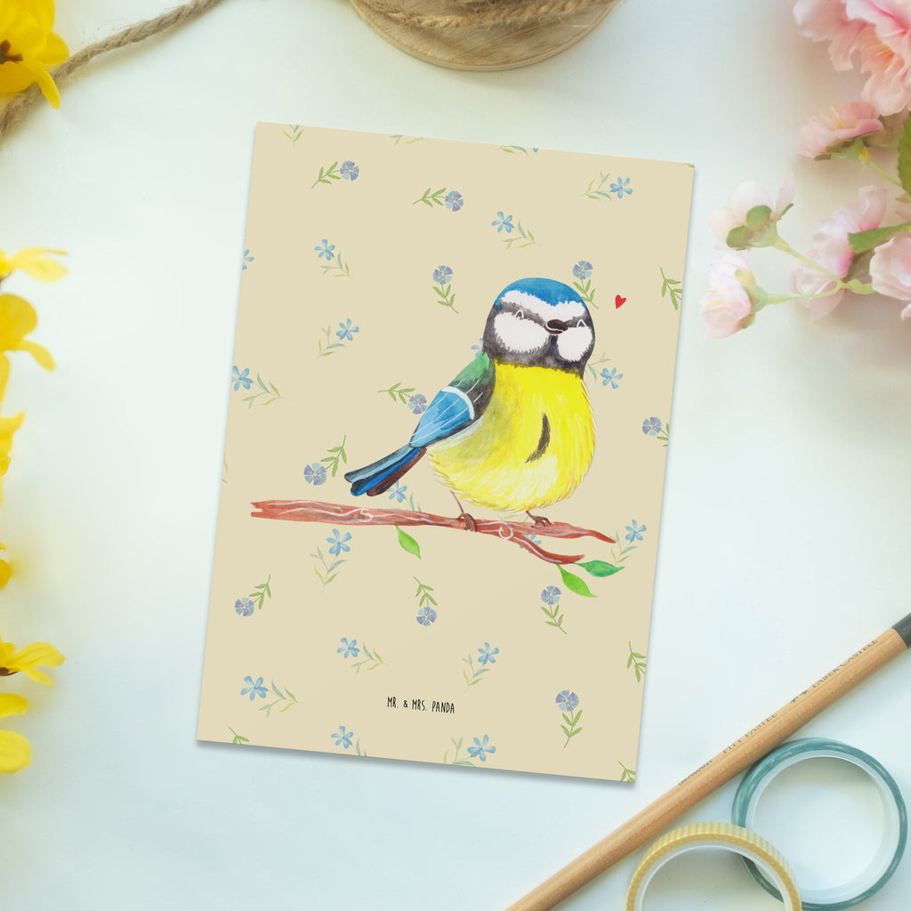 Postkarte Vogel Blaumeise einzelkarte, Kunstkarten, spruchkarte, Motivkarte, kunstkarte, Designkarte, Postkarten, Grußkarte, Ansichtskarte, Postkarte, Fotokarte, Ansichtskarten, bildkarte, Ostergeschenke Kinder, Ostern Geschenk, Osterdeko, Osterhase, Ostern, Ostergeschenke, Geschenke zu Ostern, Osternest, Ostern Kinder, Vogel, Blaumeise, Ostergrüße, Osterzeit, Liebe Grüße, Frühlingsgefühle, Frühling