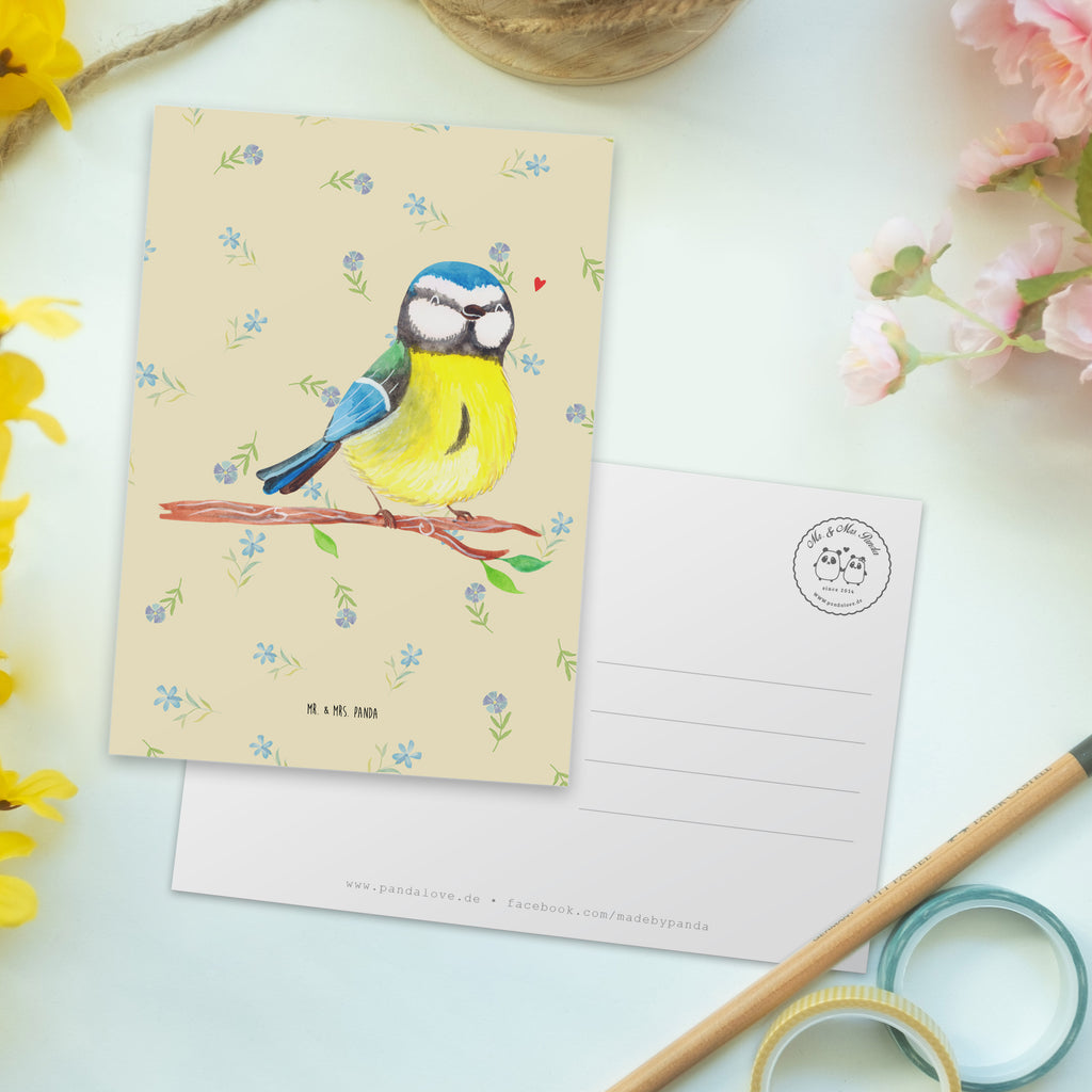 Postkarte Vogel Blaumeise einzelkarte, Kunstkarten, spruchkarte, Motivkarte, kunstkarte, Designkarte, Postkarten, Grußkarte, Ansichtskarte, Postkarte, Fotokarte, Ansichtskarten, bildkarte, Ostergeschenke Kinder, Ostern Geschenk, Osterdeko, Osterhase, Ostern, Ostergeschenke, Geschenke zu Ostern, Osternest, Ostern Kinder, Vogel, Blaumeise, Ostergrüße, Osterzeit, Liebe Grüße, Frühlingsgefühle, Frühling