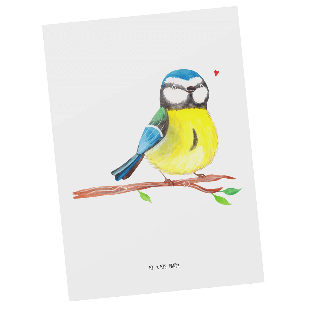 Postkarte Vogel Blaumeise einzelkarte, Kunstkarten, spruchkarte, Motivkarte, kunstkarte, Designkarte, Postkarten, Grußkarte, Ansichtskarte, Postkarte, Fotokarte, Ansichtskarten, bildkarte, Ostergeschenke Kinder, Ostern Geschenk, Osterdeko, Osterhase, Ostern, Ostergeschenke, Geschenke zu Ostern, Osternest, Ostern Kinder, Vogel, Blaumeise, Ostergrüße, Osterzeit, Liebe Grüße, Frühlingsgefühle, Frühling