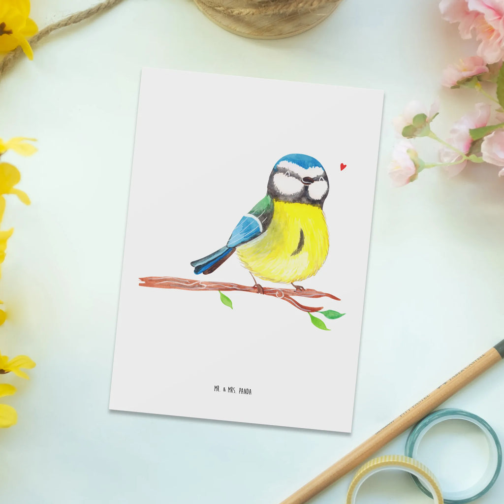 Postkarte Vogel Blaumeise einzelkarte, Kunstkarten, spruchkarte, Motivkarte, kunstkarte, Designkarte, Postkarten, Grußkarte, Ansichtskarte, Postkarte, Fotokarte, Ansichtskarten, bildkarte, Ostergeschenke Kinder, Ostern Geschenk, Osterdeko, Osterhase, Ostern, Ostergeschenke, Geschenke zu Ostern, Osternest, Ostern Kinder, Vogel, Blaumeise, Ostergrüße, Osterzeit, Liebe Grüße, Frühlingsgefühle, Frühling