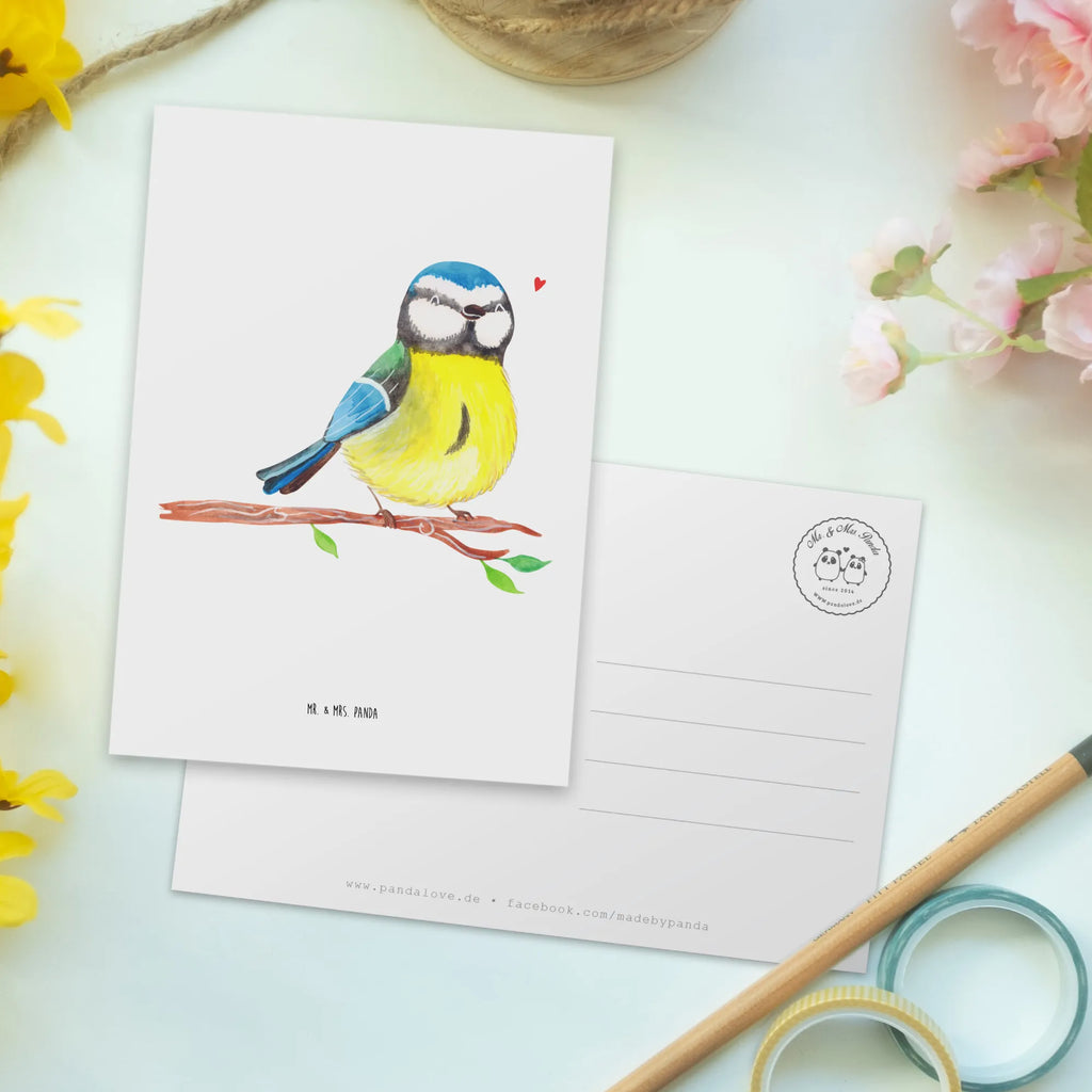 Postkarte Vogel Blaumeise einzelkarte, Kunstkarten, spruchkarte, Motivkarte, kunstkarte, Designkarte, Postkarten, Grußkarte, Ansichtskarte, Postkarte, Fotokarte, Ansichtskarten, bildkarte, Ostergeschenke Kinder, Ostern Geschenk, Osterdeko, Osterhase, Ostern, Ostergeschenke, Geschenke zu Ostern, Osternest, Ostern Kinder, Vogel, Blaumeise, Ostergrüße, Osterzeit, Liebe Grüße, Frühlingsgefühle, Frühling