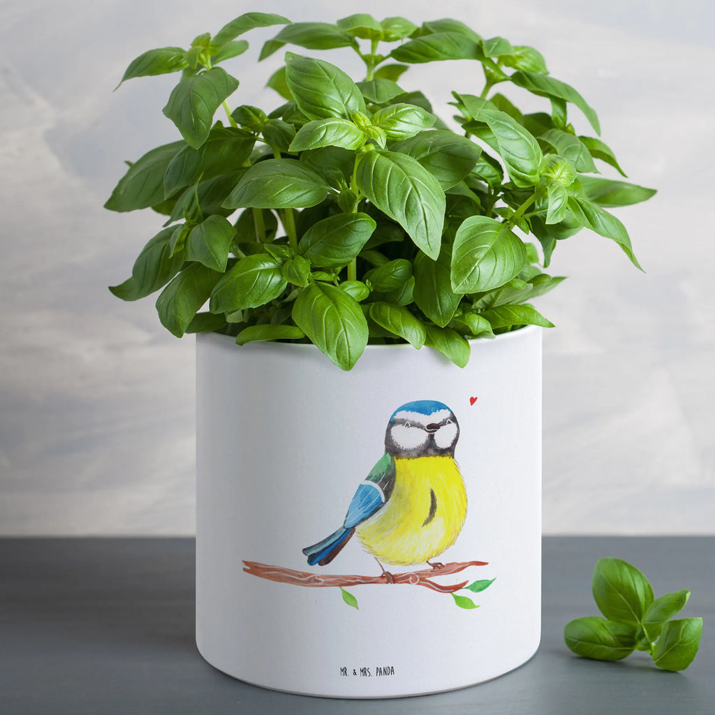 XL flower pot Bird blue tit Runder XL Blumentopf, Pflanzgefäß Terrasse Groß, Robuster Blumentopf Groß, Pflanztopf Garten Groß, Übertopf XL, Wetterfester XL Blumentopf, Pflanzkübel Groß, Frostsicherer Großer Blumentopf, Großer Pflanzbehälter, Pflanzgefäß XL, XL Übertopf Dekorativ, Großer Blumentopf Für Innen Und Außen, Pflanztopf Groß, Eckiger XL Blumentopf, Blumentopf Für Balkon Groß, Großer Blumentopf, Blumentopf Aus Beton Groß, Blumentopf Für Terrasse XL, Tiefer Blumentopf, Blumentopf Klassisch Groß, Blumentopf Groß Aus Kunststoff, Blumentopf Aus Keramik XL, Blumentopf Für Wohnzimmer XL, Hoher Blumentopf, Blumentopf XXL, XL Blumentopf, Dekotopf Groß, Blumentopf Extra Groß, Blumentopf Groß Innenbereich, Blumentopf Modern Groß, Blumentopf Design XL, Blumentopf Für Garten Groß, Blumentopf Für Große Pflanzen, Blumentopf Groß Außenbereich, Pflanzkübel Für Palmen, Blumentopf Aus Ton XXL, Blumentopf Rustikal Groß, Ostern, Osterhase, Ostergeschenke, Osternest, Osterdeko, Geschenke zu Ostern, Ostern Geschenk, Ostergeschenke Kinder, Ostern Kinder, Vogel, Osterzeit, Frühlingsgefühle, Ostergrüße, Blaumeise, liebe Grüße, Frühling