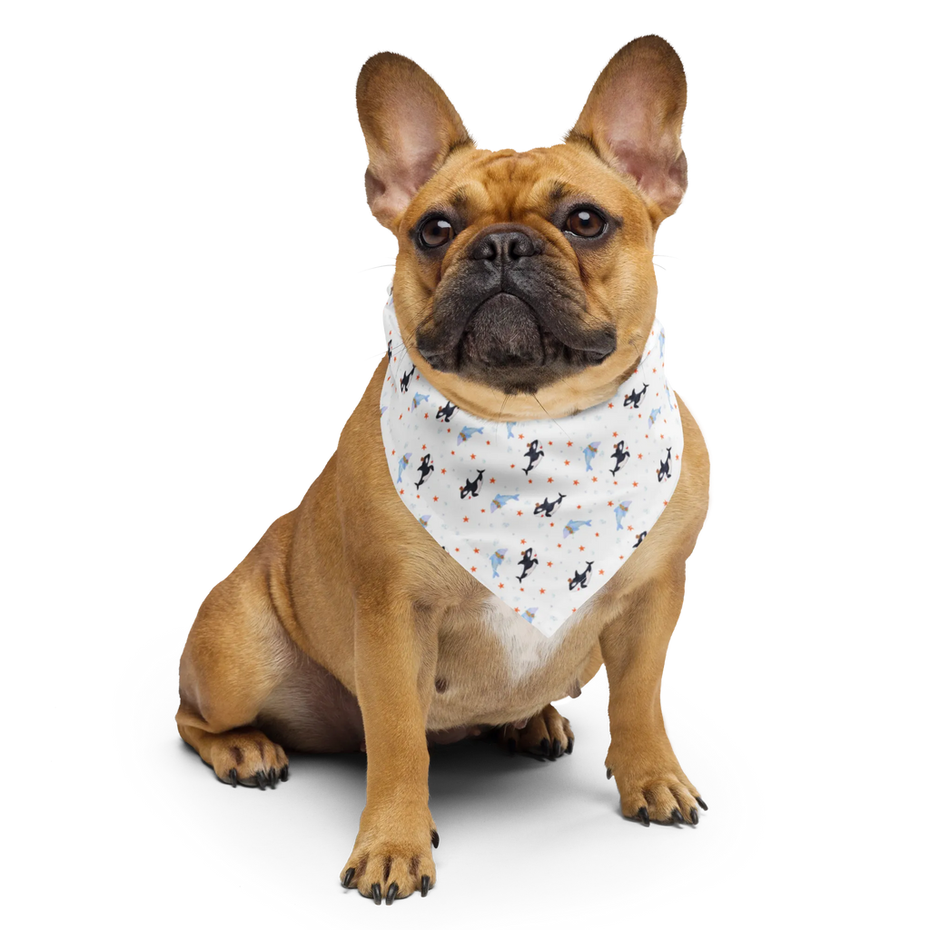 Bandana Orca Zylinder Muster Bandana kaufen, Sportbandana, Bandana, Halstuch, Kopftuch, Design Bandana, Multifunktionstuch, Bandana Tuch, Sport Bandana, Meerestiere, Meer, Urlaub, Narwal, Fest, Glitzer, Orca, Konfetti, Glitter, Feier, Geburtstag, Fete, Glückwunsch