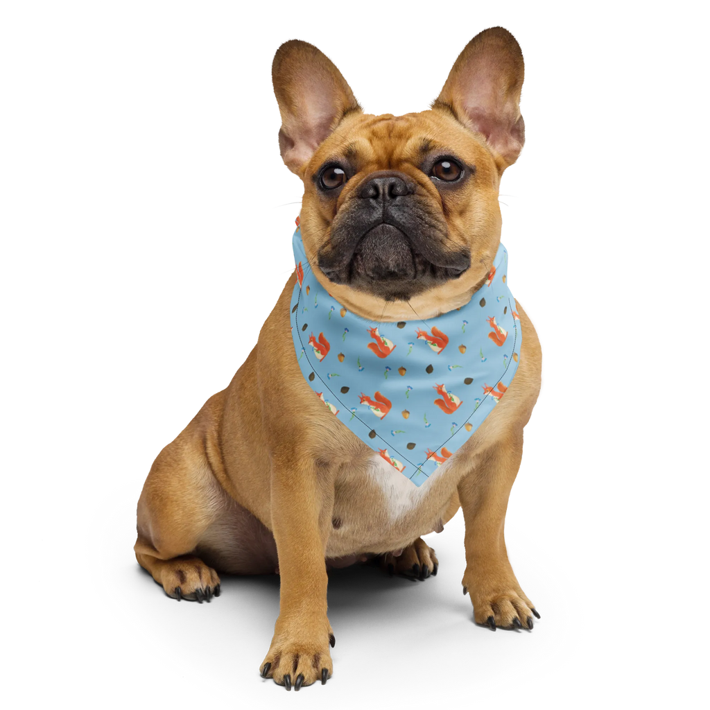Bandana Eichhörnchen Blume Muster Halstuch, Design Bandana, Bandana Tuch, Bandana kaufen, Multifunktionstuch, Sport Bandana, Sportbandana, Kopftuch, Bandana, Tiermotive, Gute Laune, lustige Sprüche, Tiere, Spruch positiv, Spaß, Motivation Sprüche, Spruch Deko, Lachen, glücklich Spruch, Motivation Bilder, Eichhorn, Eichhörnchen