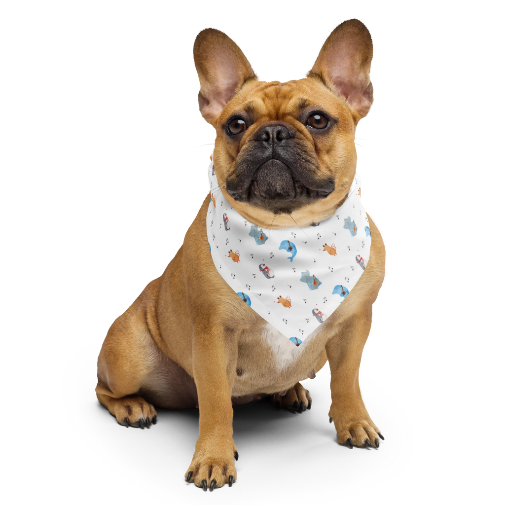 Bandana Big Band Muster Bandana kaufen, Kopftuch, Multifunktionstuch, Halstuch, Design Bandana, Bandana Tuch, Bandana, Sportbandana, Sport Bandana, Tiermotive, Gute Laune, lustige Sprüche, Tiere, Musik, Delfin, Pinguin, Elefant, Maus, Gitarre, Band, Hund, Triangel, Musikanten