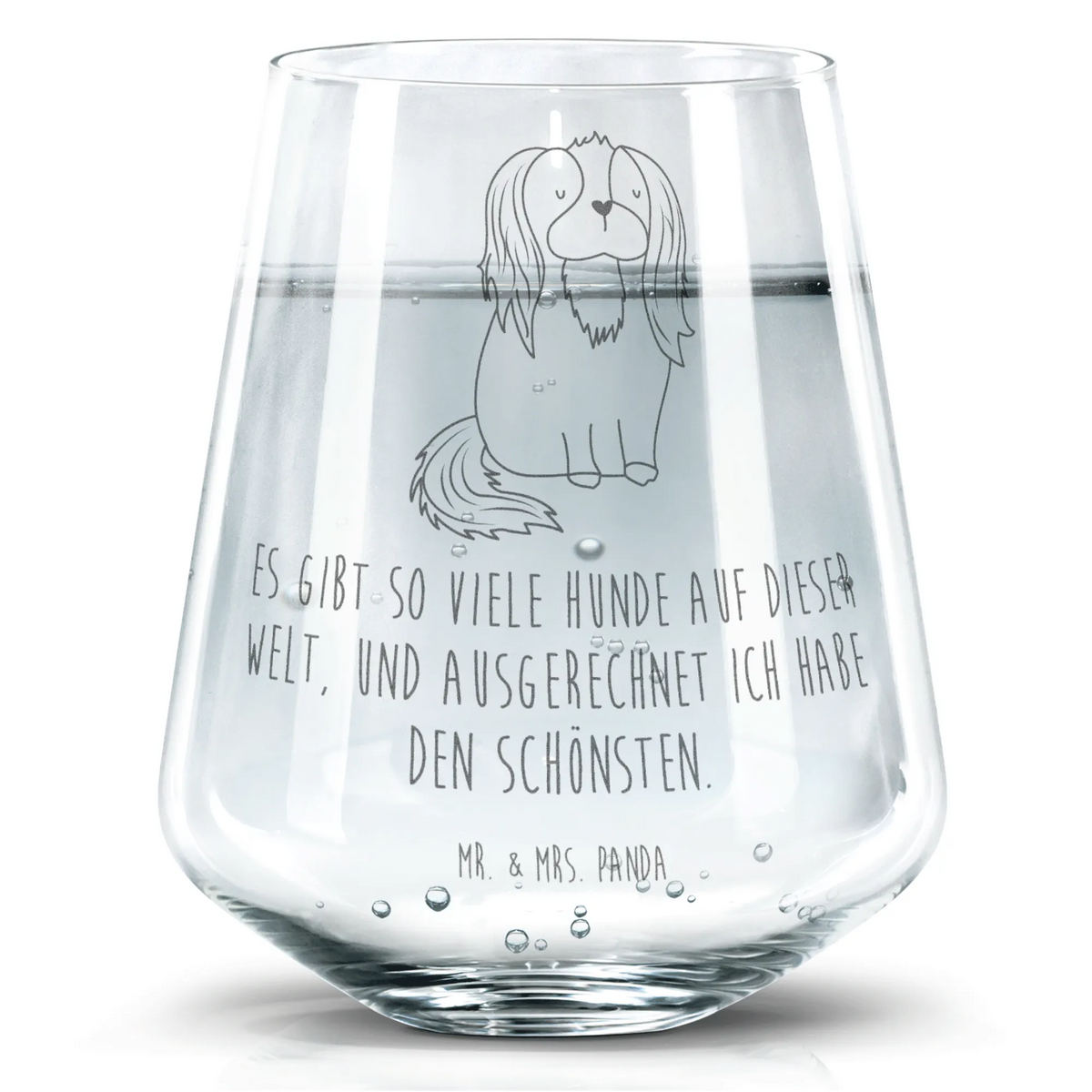 szklanka pies Cavalier King Charles Spaniel