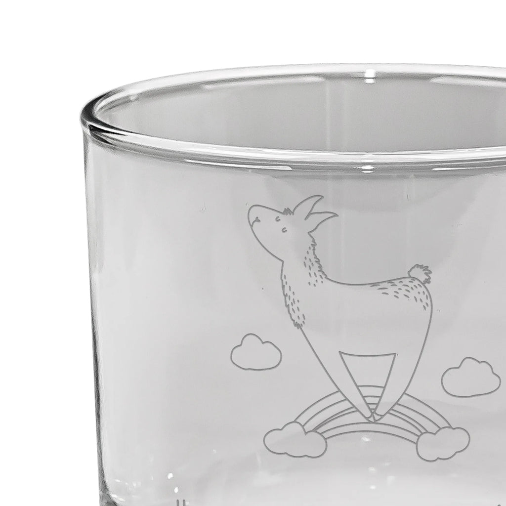 Whiskey Glass lama rainbow Llama, llama, alpaca, trendy animal, Outsider, Haters, Freedom, Rainbow, Lamas, Cloud country, Haters gonna hate, School, Self-employed, Hobby, Abi, Lama
