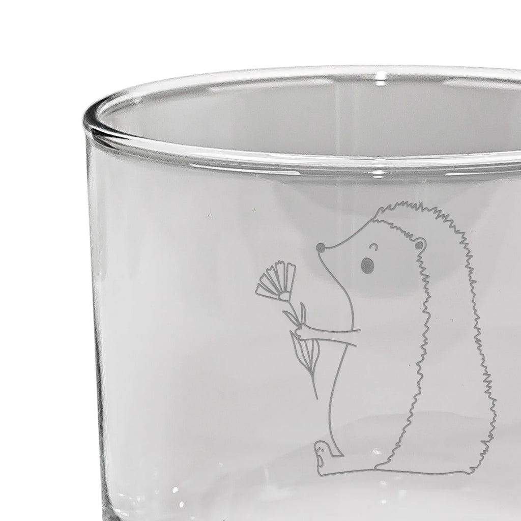Whiskey Glas Igel Blumen Whiskey Glas mit Sprüchen, Whiskey Tumbler, Edle Whiskygläser, Whiskyglas mit Gravur, Whiskeylgas, Gravur Whiskyglas, Whiskey Glas mit Gravur, Whiskygläser, Whisky Gläser, Whiskeyglas mit Spruch, Whiskey Glas, Tiermotive, Gute Laune, lustige Sprüche, Tiere, Igel, Krankenhaus, krank, Genesungswünsche, Krankheit, Besuch, Gute Besserung