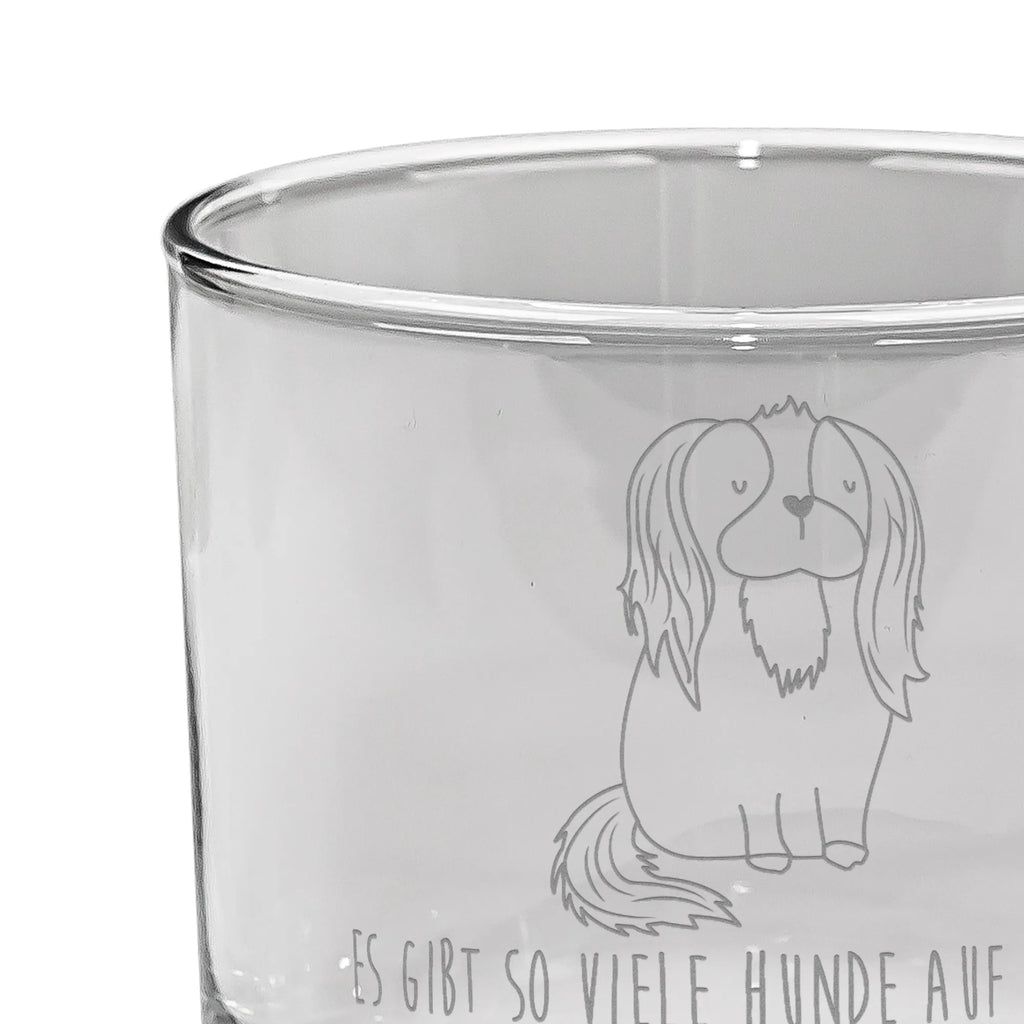 Whiskey Glas Hund Cavalier King Charles Spaniel Whiskey Glas mit Gravur, Whisky Gläser, Whiskey Glas mit Sprüchen, Edle Whiskygläser, Whiskygläser, Whiskeyglas mit Spruch, Gravur Whiskyglas, Whiskey Tumbler, Whiskeylgas, Whiskey Glas, Whiskyglas mit Gravur, Hund, Hundemotiv, Haustier, Hunderasse, Tierliebhaber, Hundebesitzer, Sprüche, Cockerspaniel, schönster Hund, Spruch, Spaniel, Cavalier King Charles Spaniel