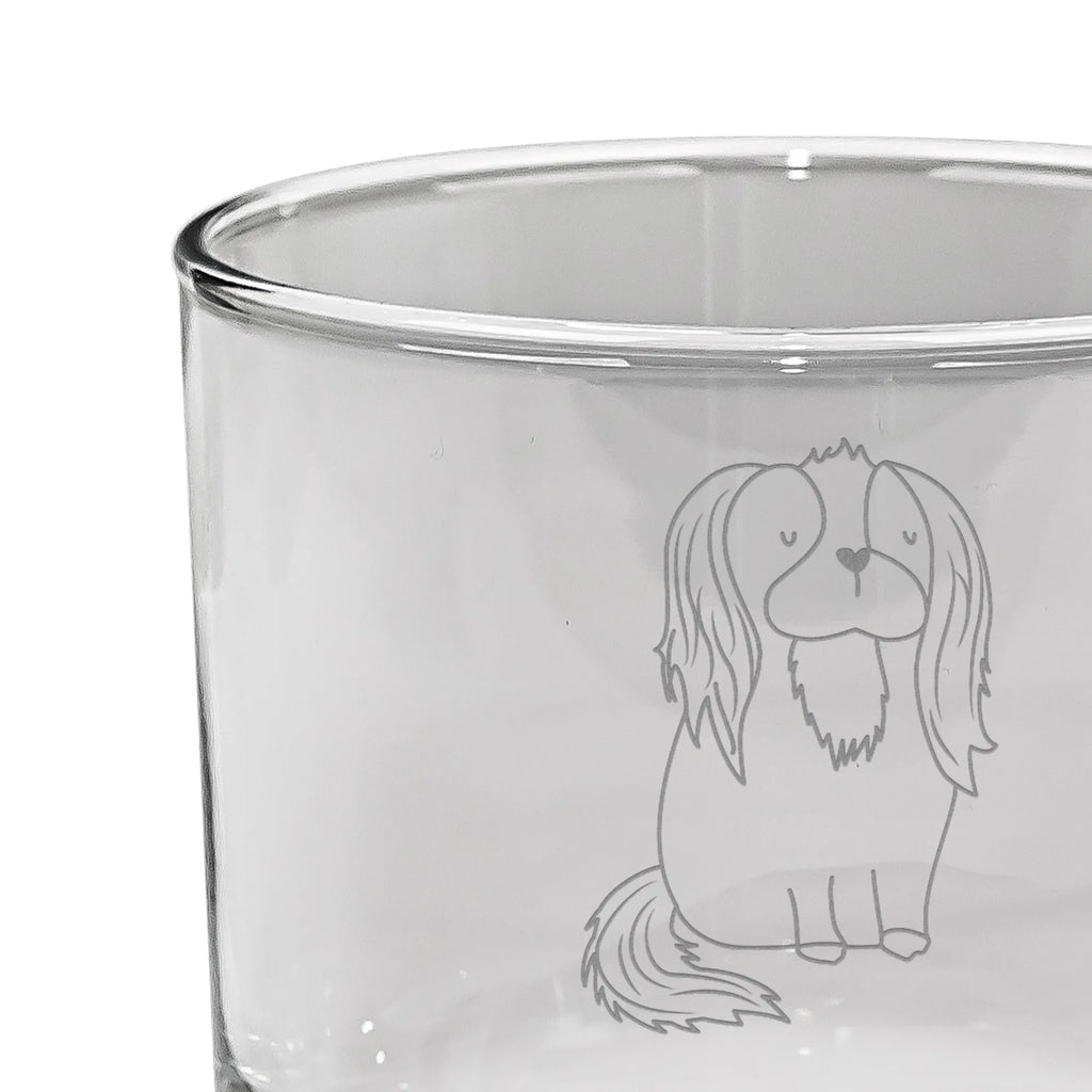 Personalisiertes Whiskey Glas Hund Cavalier King Charles Spaniel Whiskey Glas mit Gravur, Whiskey Glas, Whiskey Glas mit Sprüchen, Whiskeyglas mit Spruch, Whiskeylgas, Hund, Hundemotiv, Haustier, Hunderasse, Tierliebhaber, Hundebesitzer, Sprüche, Cockerspaniel, Spruch, Spaniel, schönster Hund, Cavalier King Charles Spaniel