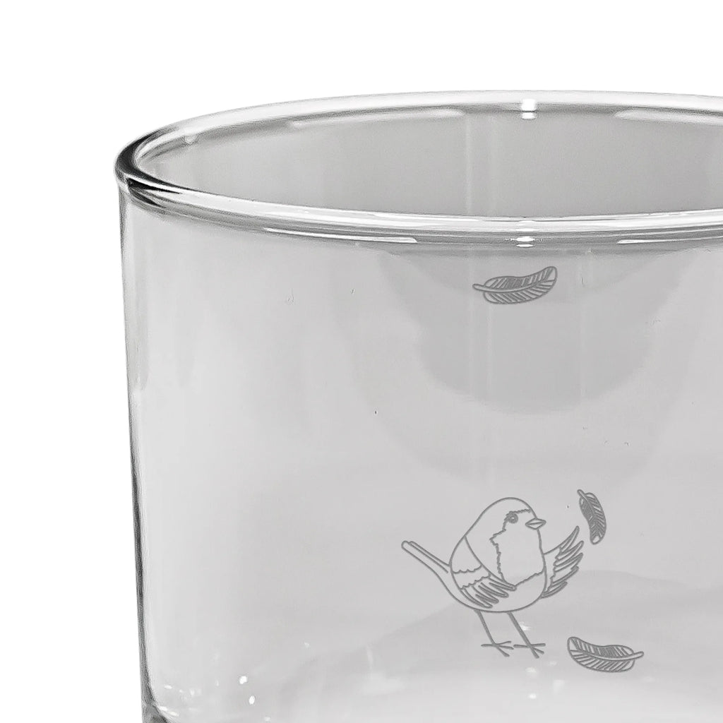 Personalized Whiskey Glass robin feathers small animals, cute, funny, cute animal motives, hand drawn, small world, funny sayings, good mood, happy, gifts, gift ideas, special gifts, animal lover, card, What if i fall, robin, bird, flying, slogan courage, motivation pictures, slogan motivation, motivation slogans
