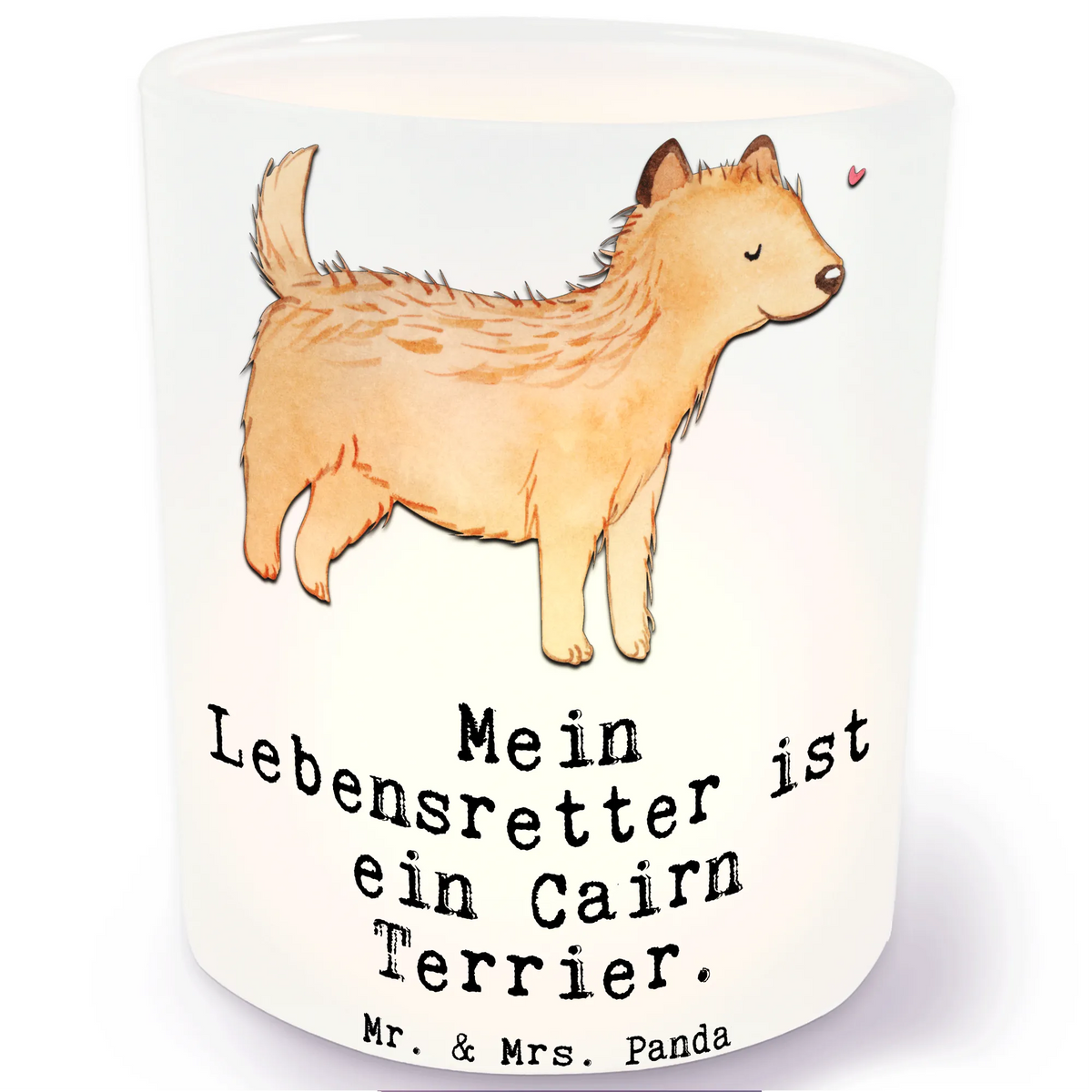 Latarenka Cairn Terrier ratownik dawanie, prezent, Pies, rasa psa, pies rasowy, właściciel psa, miłośnik zwierząt, szczeniak