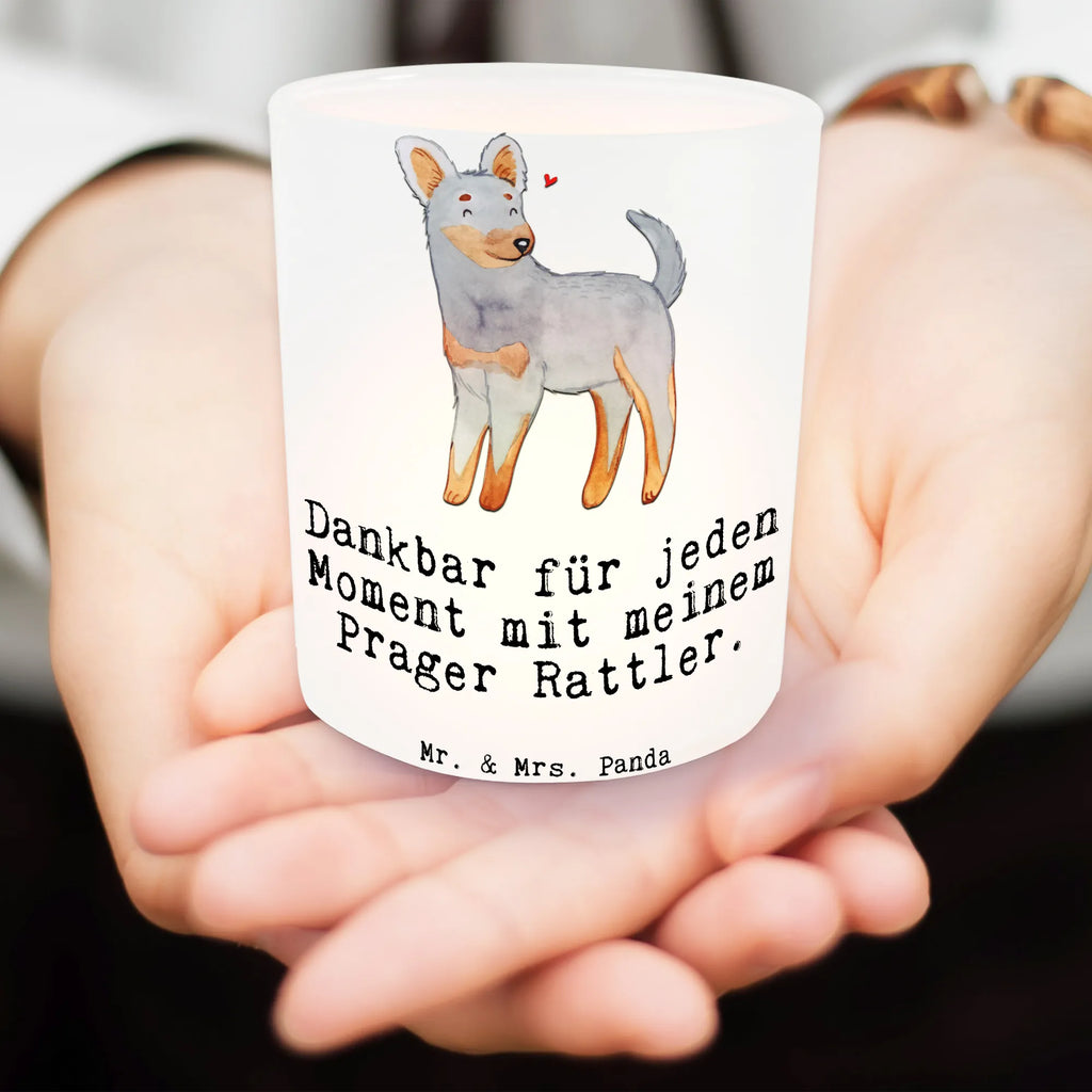 Lantern Prague Rattler moment Windlicht Handgemacht, Teelichthalter für draußen, Windlicht Draußen, Windlicht Vintage, Windlicht Outdoor, Windlichter, Windlicht Garten, Windlicht Balkon, Windlicht Wohnzimmer, Windlicht Boho, Windlicht Groß, Windlicht Für Draußen, Windlicht Glas, Windlicht Modern, Windlicht Kerzenhalter, Windlicht Skandinavisch, Windlicht Nachhaltig, Teelichthalter Outdoor, Windlicht, Windlicht Laterne, Windlicht Design, Windlicht Dekoration, Windlicht Geschenk, Windlicht Klein, Windlicht Terrasse, Windlicht Romantisch, Teelicht Glas, Teelichthalter, Hund, Hunderasse, Rassehund, Hundebesitzer, Geschenk, Tierfreund, Schenken, Welpe, Pincher, Prager Rattler