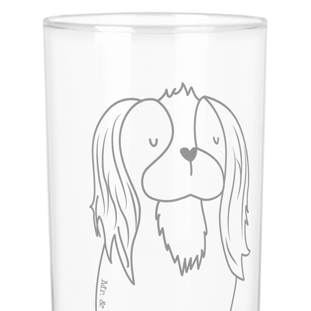 Wasserglas Cavalier King Charles Spaniel Wasserglas, Glas, Trinkglas, Wasserglas mit Gravur, Glas mit Gravur, Trinkglas mit Gravur, Hund, Hundemotiv, Haustier, Hunderasse, Tierliebhaber, Hundebesitzer, Sprüche, Cavalier King Charles Spaniel, Cockerspaniel, Spaniel, Spruch, schönster Hund