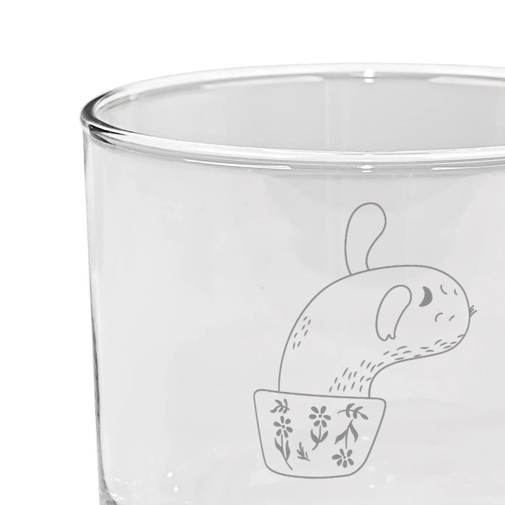 Personalized Gin Glass cactus mummy cactus, cactuses, plants, cactus plant, small green cactus, cactus love, school, motivation, office life, cacti, quota, office, annoyance