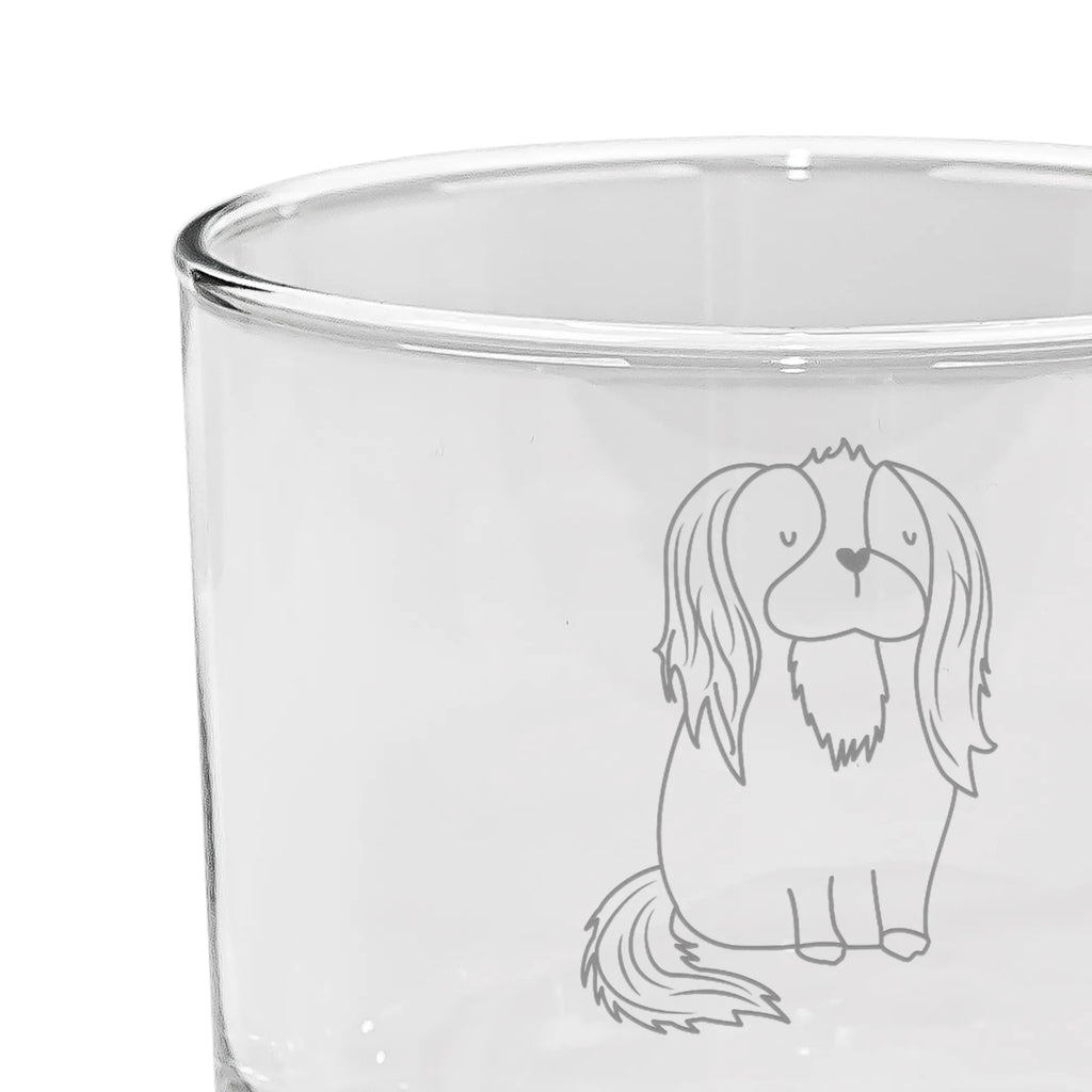 Personalized Gin Glass Dog Cavalier King Charles Spaniel dog, mutt, hound, woof, dog mama, dog breed, love dogs, love for dogs, dog decorative items, bag with dog print, funny gifts for dog owners, what do you give a dog lover, Christmas gifts for dogs, gifts for dogs, dog sayings, Cavalier King Charles Spaniel, Sayings, Spaniel, most beautiful dog, Cocker Spaniel, Dog