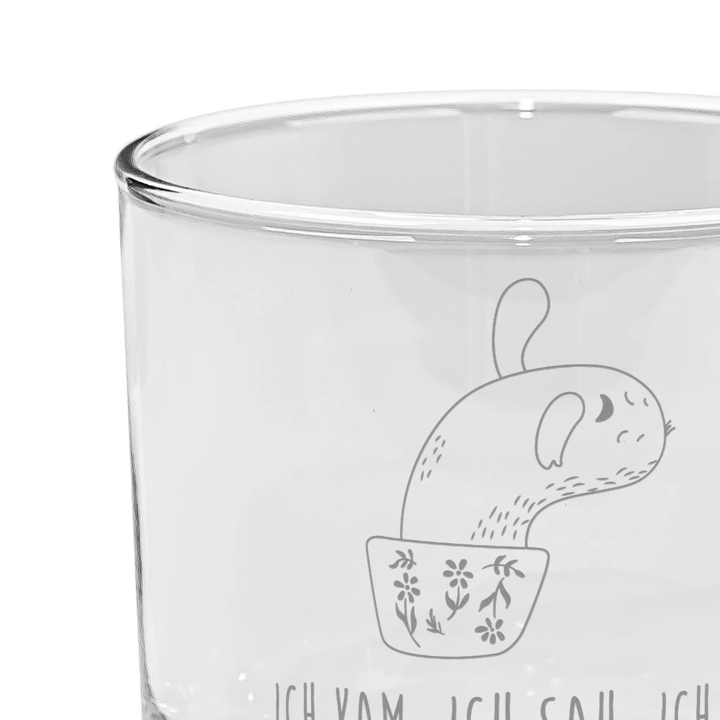 gin glass cactus mummy cactus, cactuses, plants, cactus plant, small green cactus, office life, cactus love, motivation, office, annoyance, quota, school, cacti