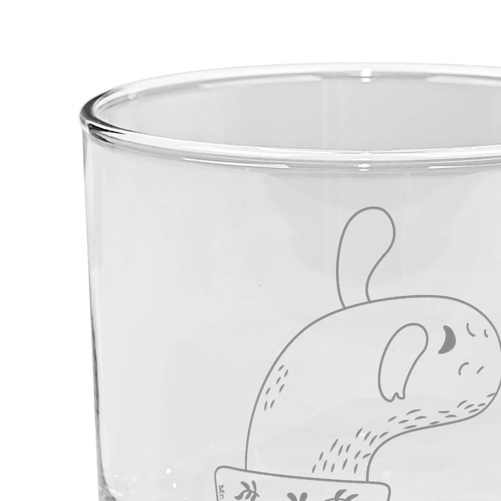 gin glass cactus mummy cactus, cactuses, plants, cactus plant, small green cactus, office life, cactus love, motivation, office, annoyance, quota, school, cacti