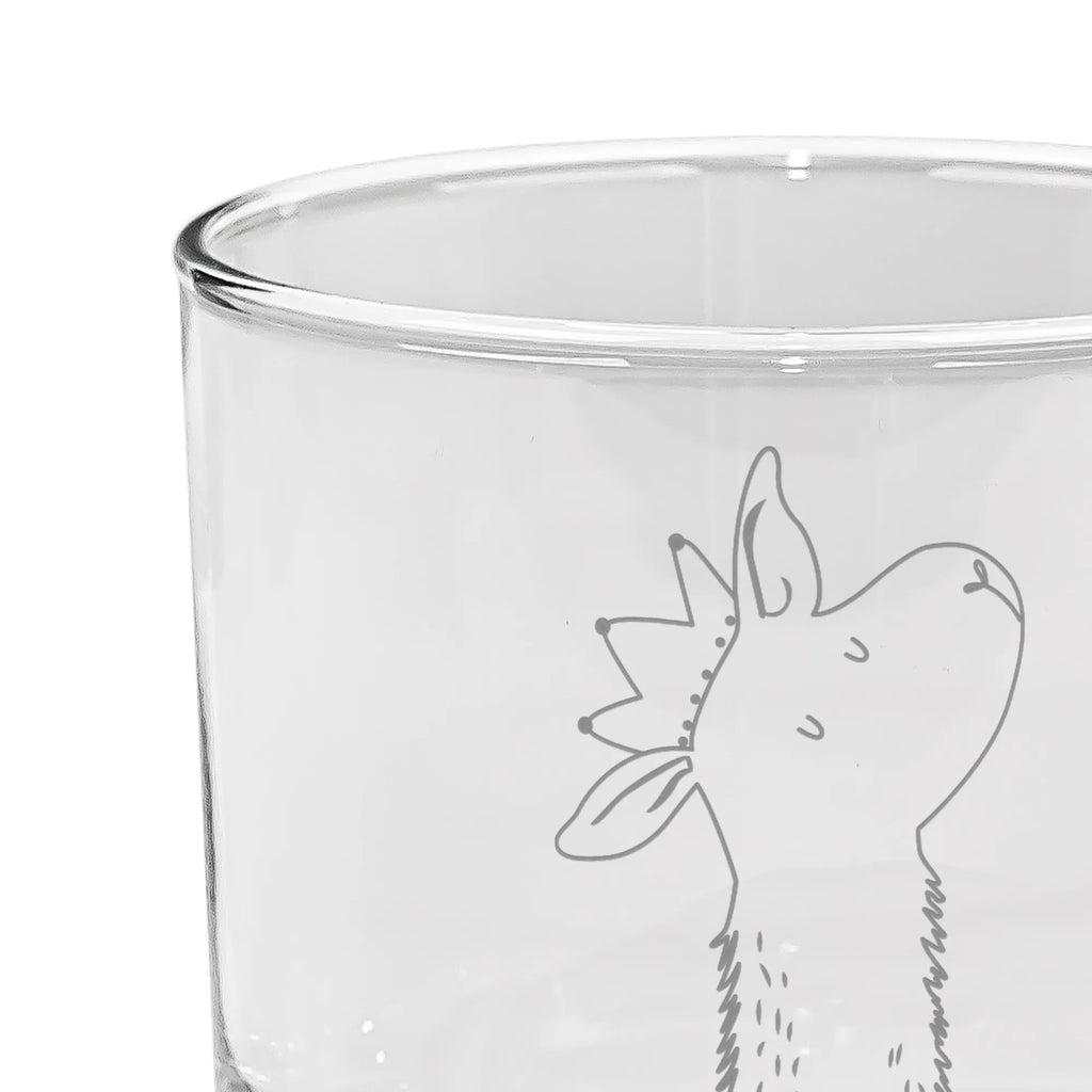 gin glass llama head king Llama, llama, alpaca, trendy animal, boss, high school graduation, queen, lamas, colleague, king, office colleague, lama, mum, girlfriend, dad, supervisor