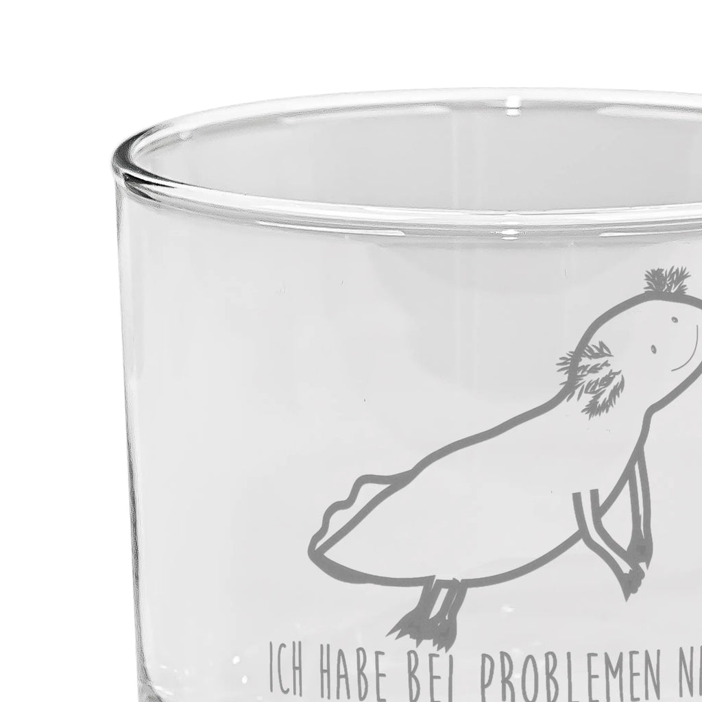 gin glass axolotl To swim Axolotl, Axelotl, marine animals, Mexican walking fish, salamander, amphibians, tail, problems, motivation, problem, axolot, solutions