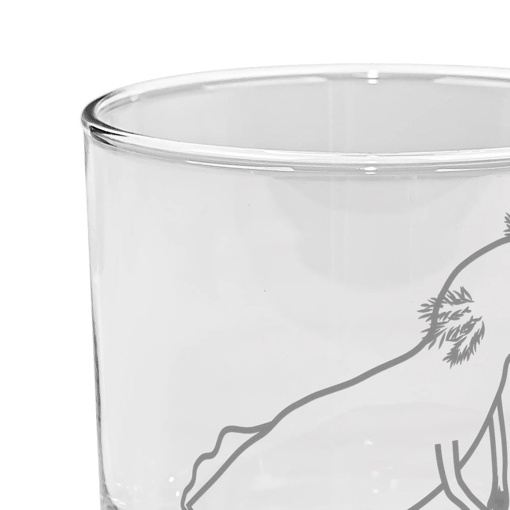 gin glass axolotl To swim Axolotl, Axelotl, marine animals, Mexican walking fish, salamander, amphibians, tail, problems, motivation, problem, axolot, solutions