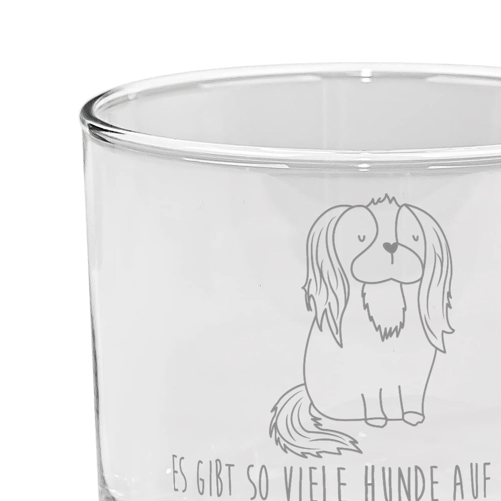 Szklanka do ginu pies Cavalier King Charles Spaniel Ballonglas, Rundes Gin Glas, Gin Glas Geschenkidee, Gin Glas Mit Gravurbereiter Fläche, Spülmaschinenfestes Gin Glas, Gin-Tumbler, Balloon Glas, Gin-Ballon Glas, Gin-Copa Glas Mit Stiel, Gin Glas, Fassungsvermögen 500 ml Gin Glas, Gin-Glas Set, Tumbler Glas, Kristallklar Gin Glas, Großes Gin Glas, Gin Glas Für Zuhause, Gin Glas Für Party, Gin Glas Für Tasting, Handgeschliffenes Gin Glas, Gin Glas Für Bar, Gin-Glas Ohne Stiel, Gin Glas Für Cocktailabend, Designer Gin Glas, Klassisches Gin Glas, Dickwandiges Gin Glas, Kristall Gin Glas, Dünnwandiges Gin Glas, Glas Für Gin, Vintage Gin Glas, Cocktailglas Für Gin, Gin-Copa, Premium Gin Glas, Gin-Gläser Set, Gin-Glas Mit Stiel, Gin & Tonic Glas, Gin-Glas Premiumqualität, Modernes Gin Glas, Longdrinkglas, Gin-Ballon Glas Mit Henkel, Hund, Hundemotiv, Haustier, Hunderasse, Tierliebhaber, Hundebesitzer, Sprüche, Cockerspaniel, Spruch, Cavalier King Charles Spaniel, Spaniel, schönster Hund