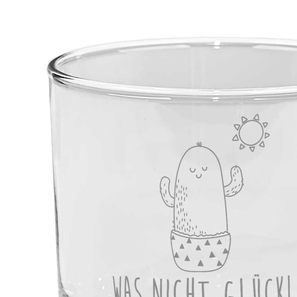 gin glass cactus Sun cactus, cactuses, plants, cactus plant, small green cactus, motivation, girlfriend, divorce, new start, love cactus love, happiness, sun, lovesickness, gift idea, sunshine, separation, lovesickness gift, happy, adultery